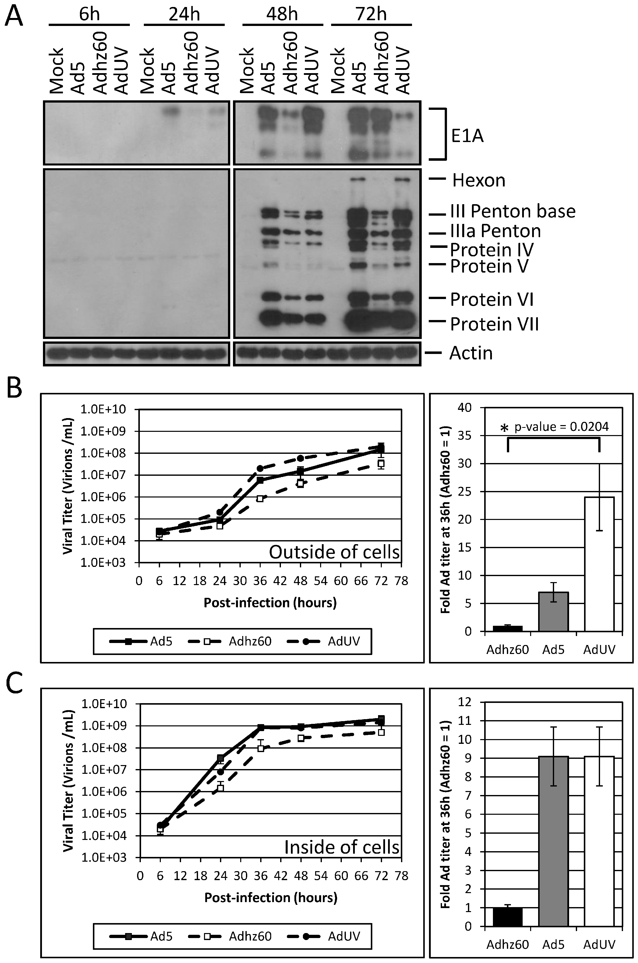 Viruses 08 00167 g004 1024
