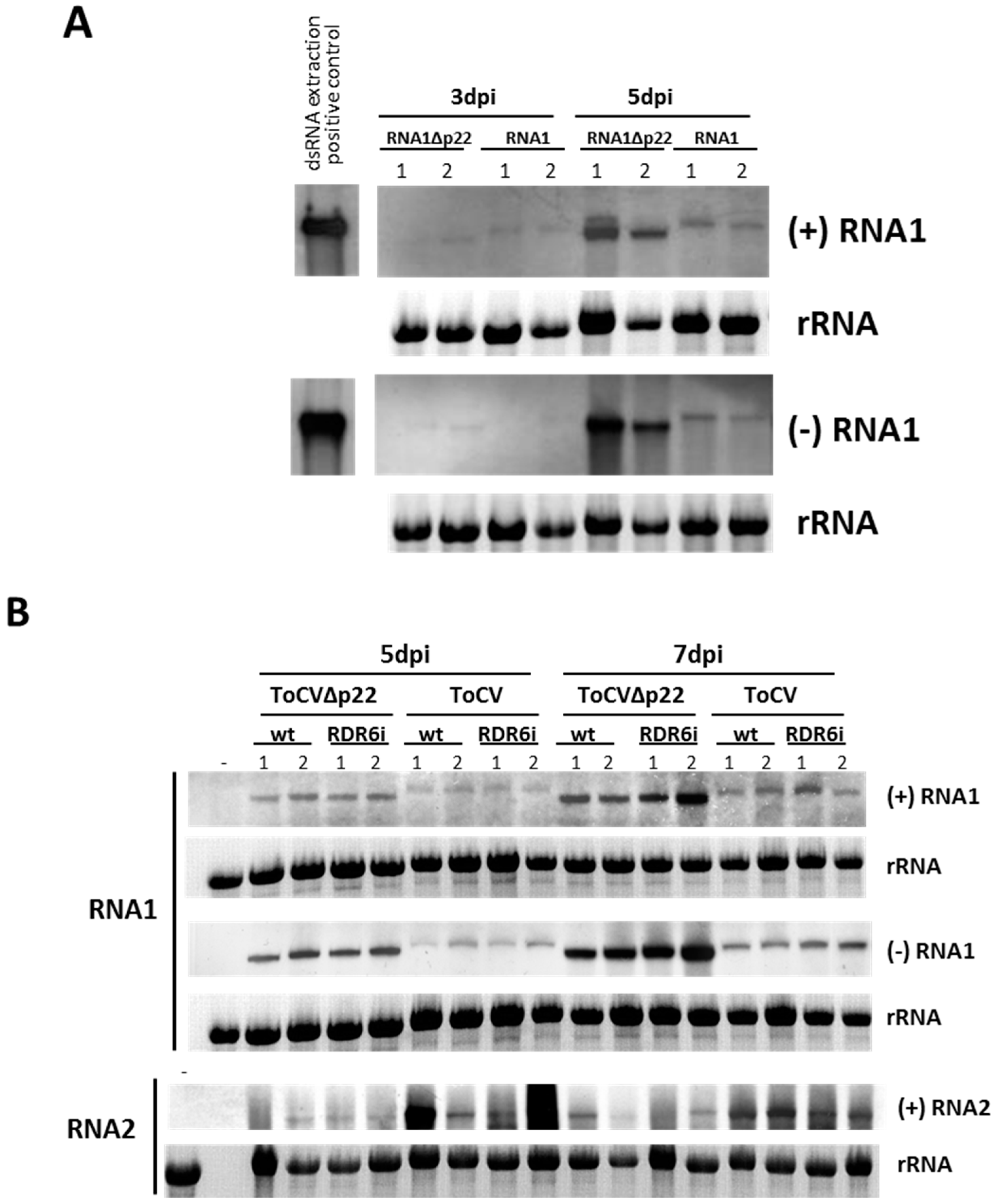 Viruses 08 00182 g002