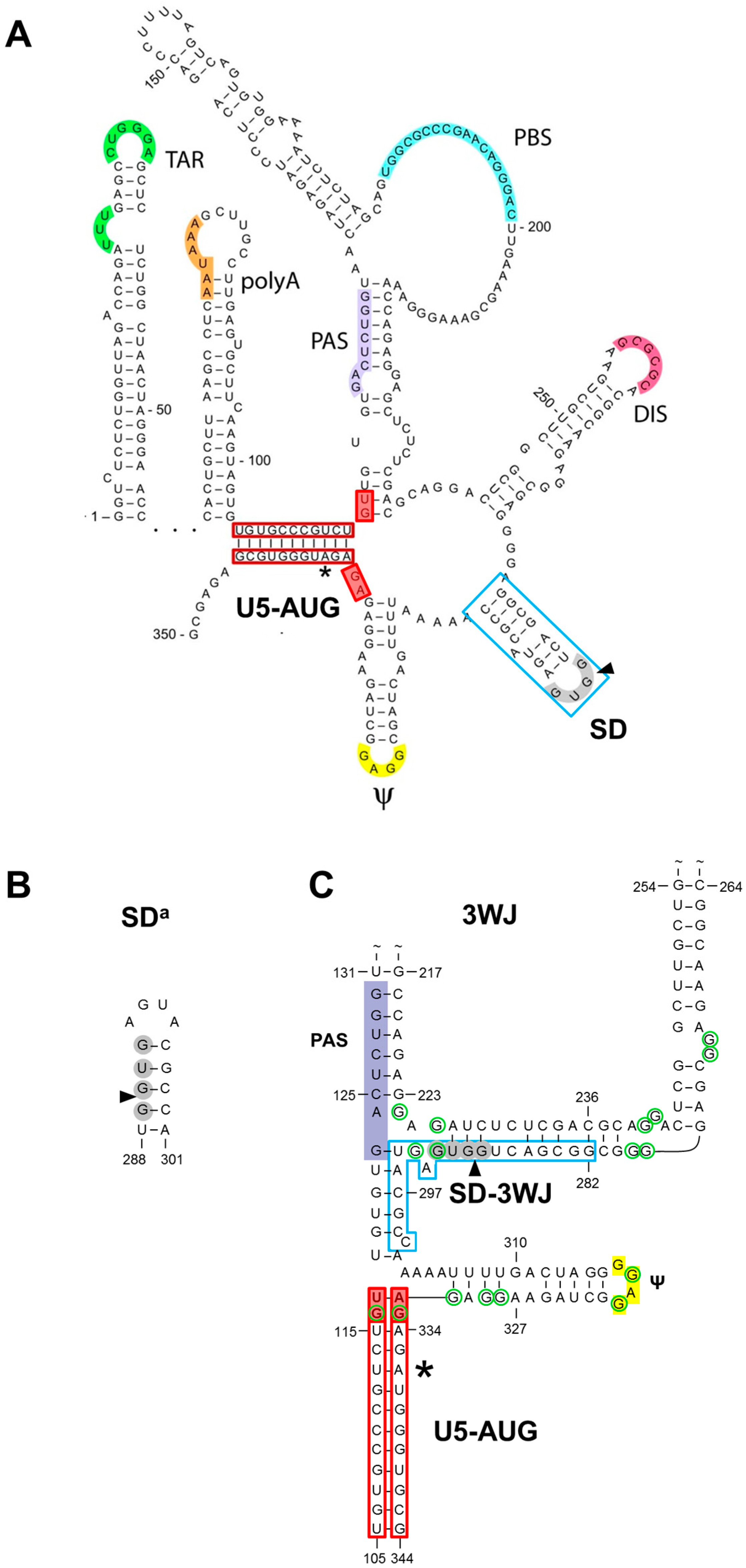 Viruses 08 00200 g001