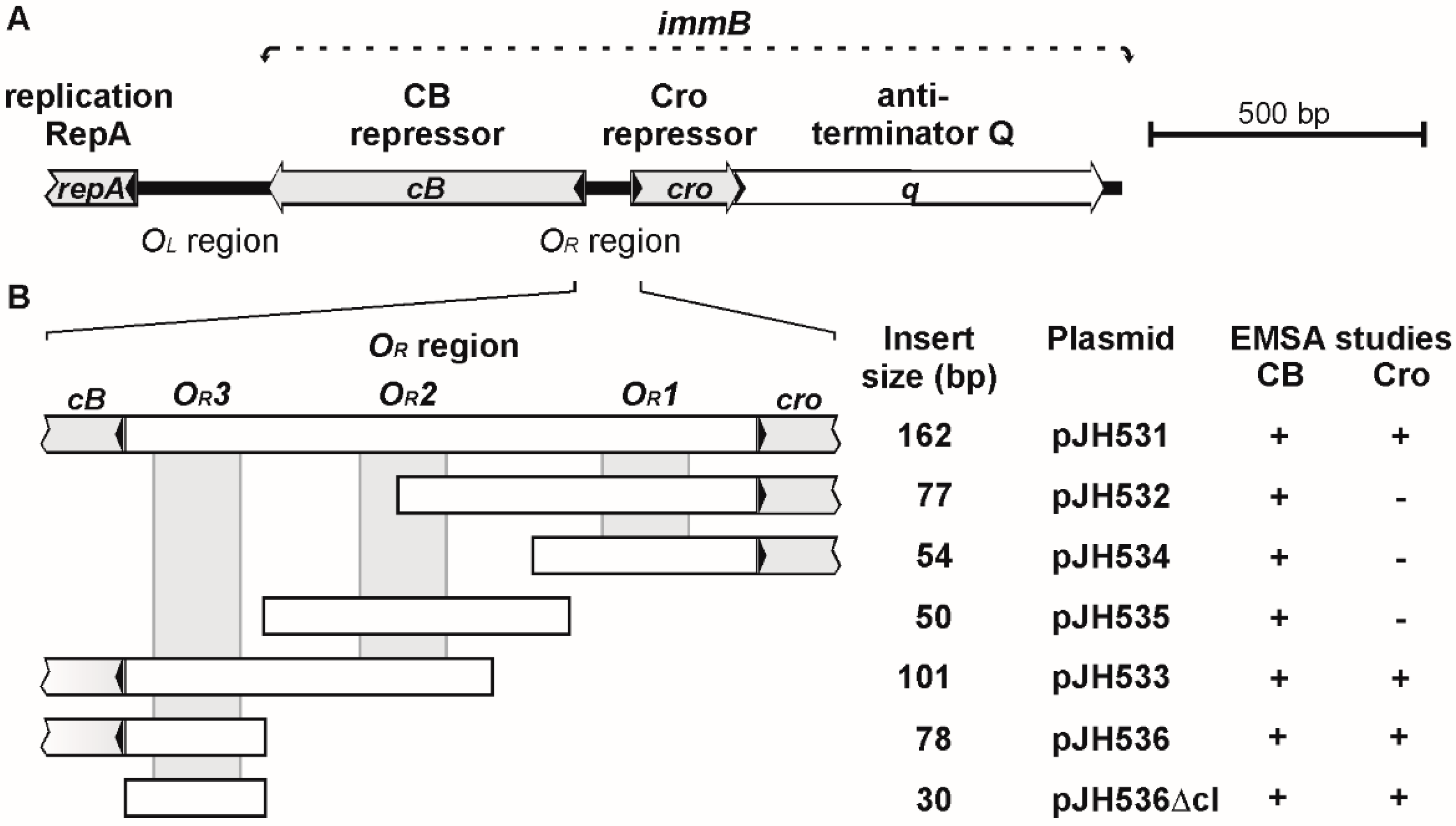 Viruses 08 00213 g003