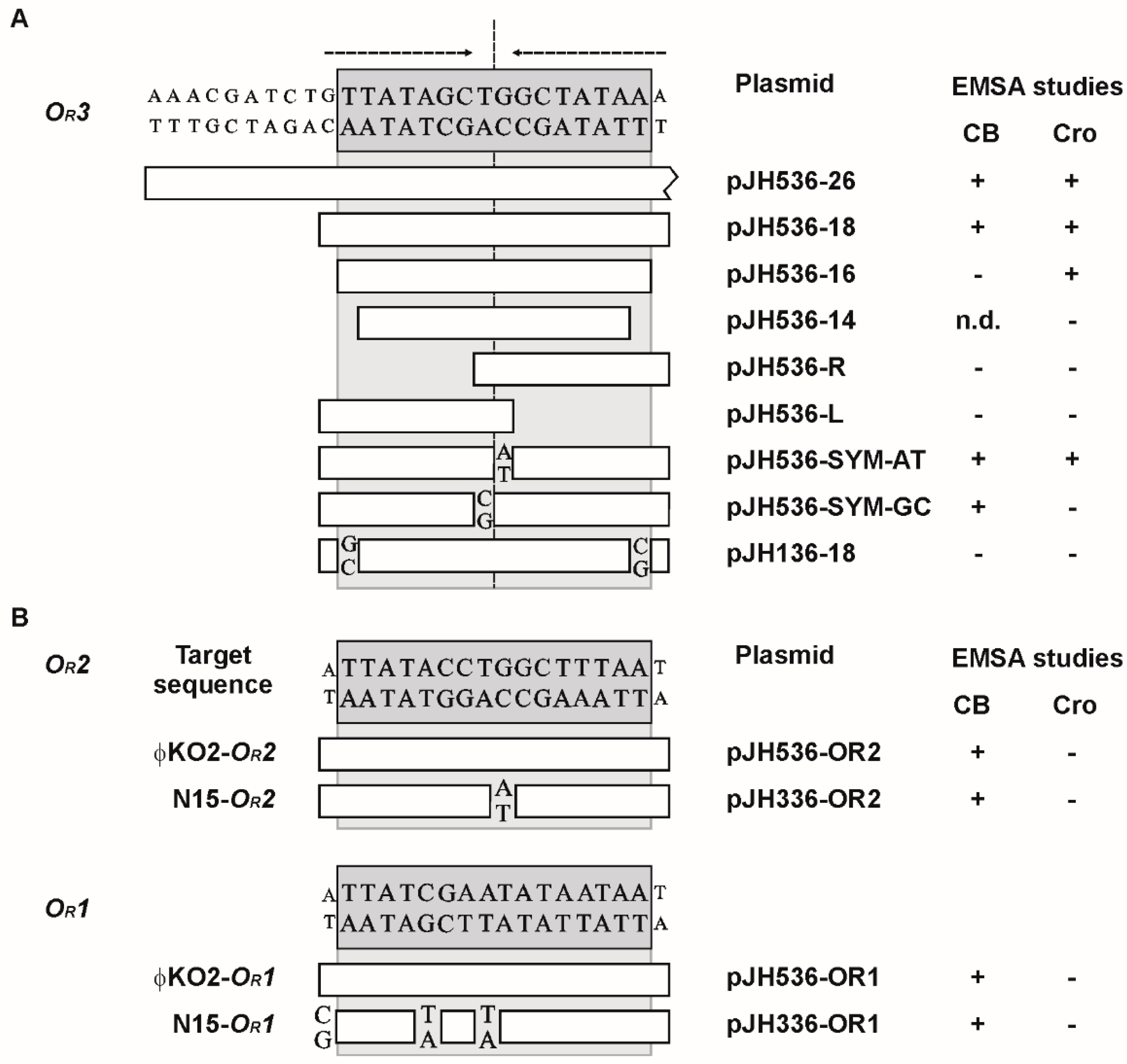 Viruses 08 00213 g005