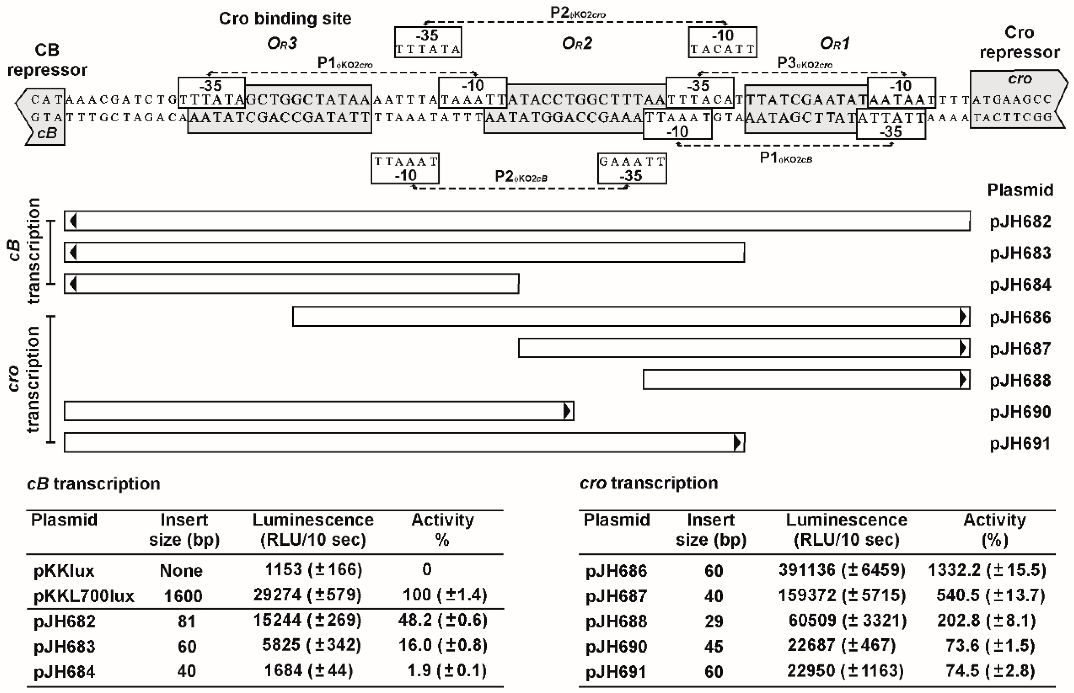 Viruses 08 00213 g007