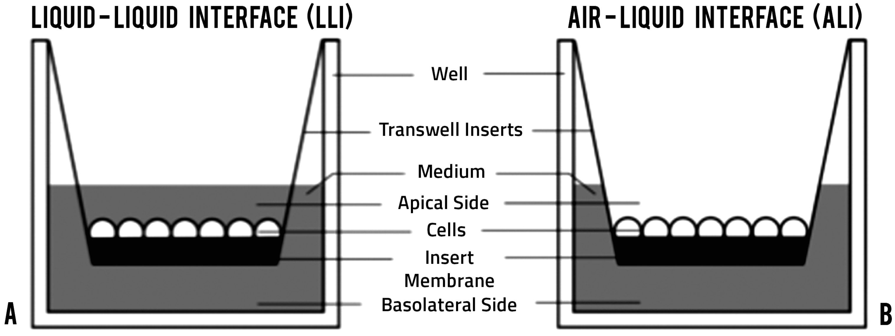 view clinical