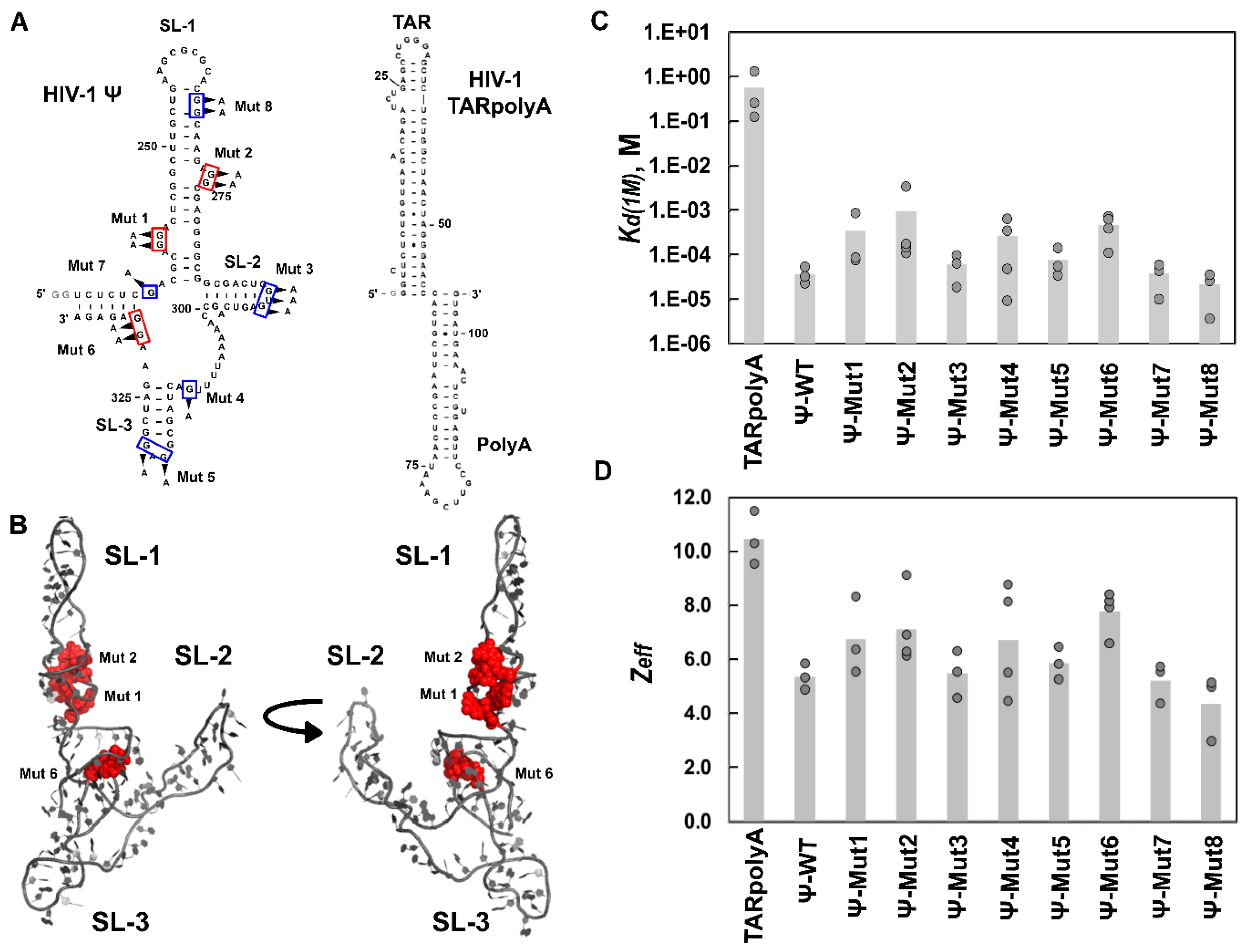 Viruses 08 00256 g005