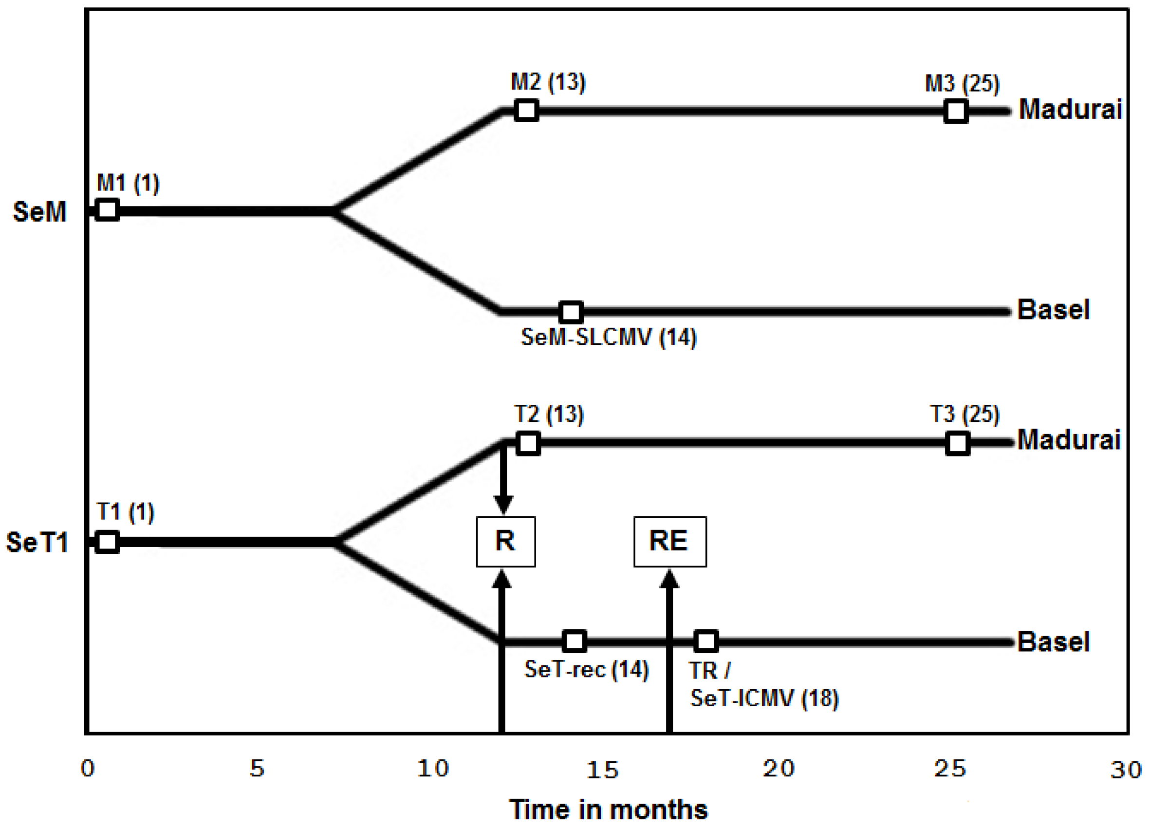 Viruses 08 00264 g001 550