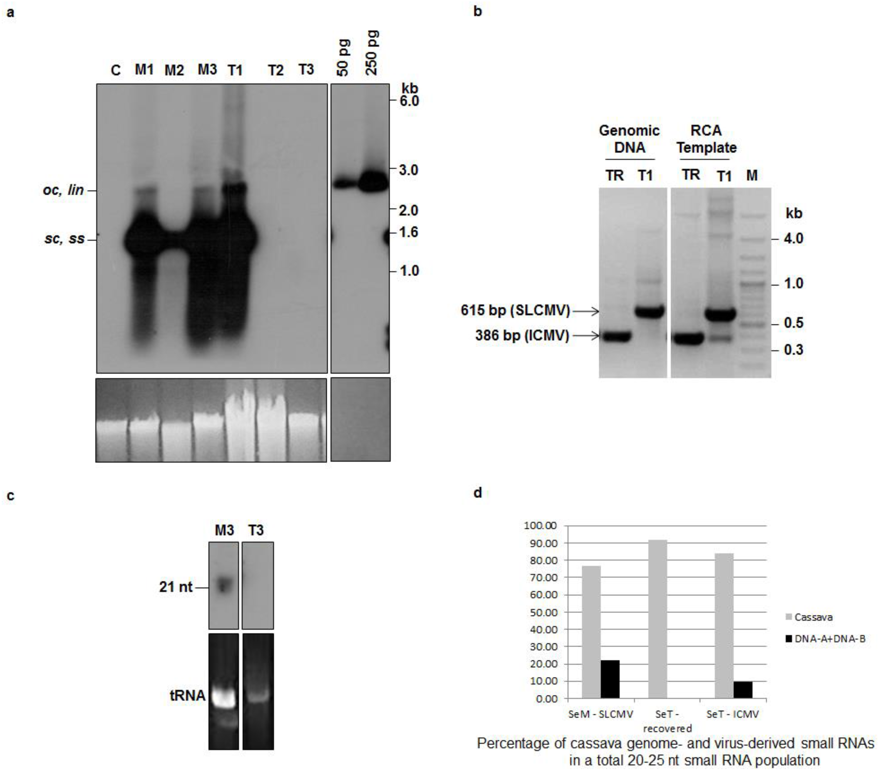 Viruses 08 00264 g002 550