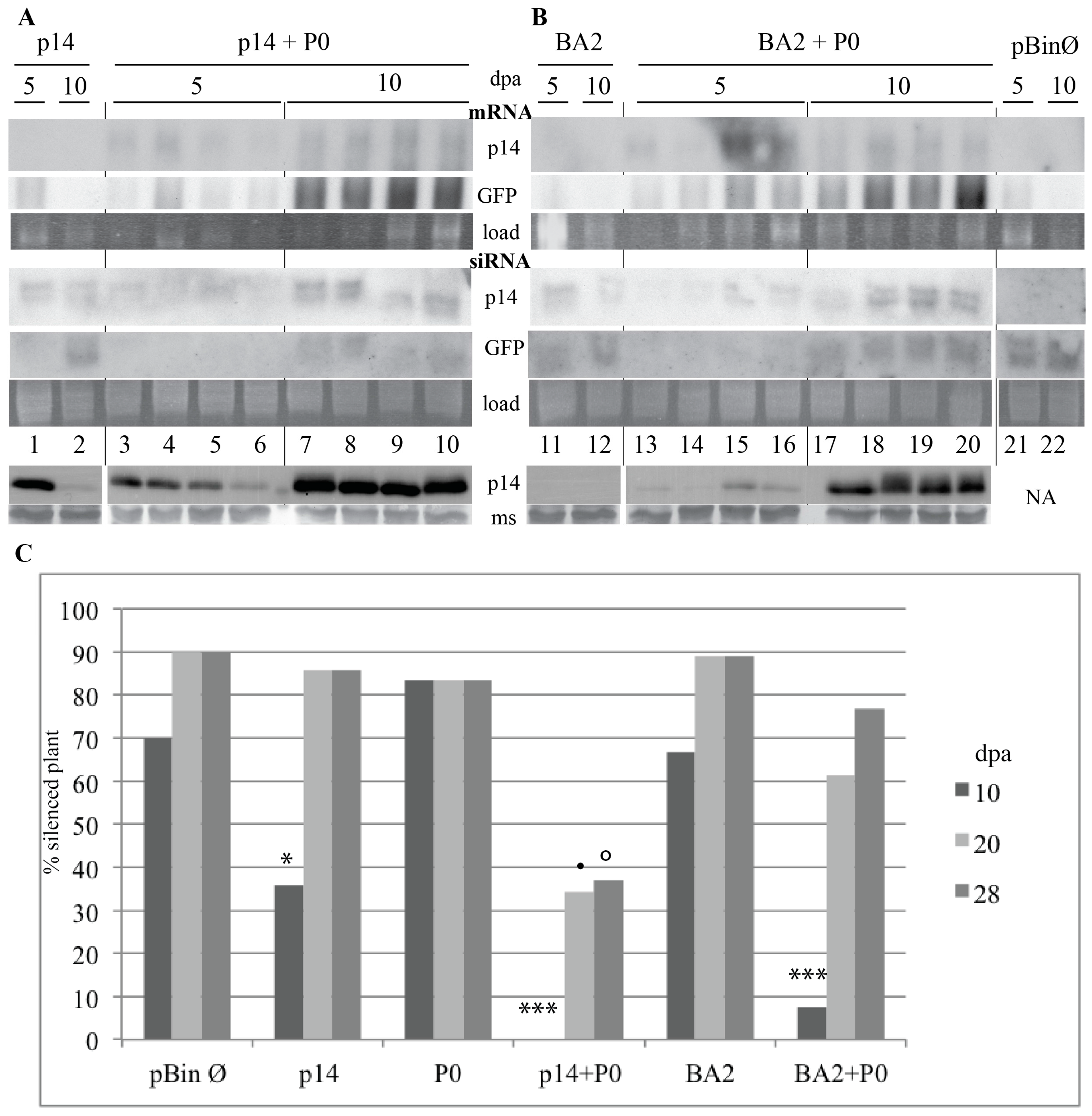 Viruses 08 00272 g005