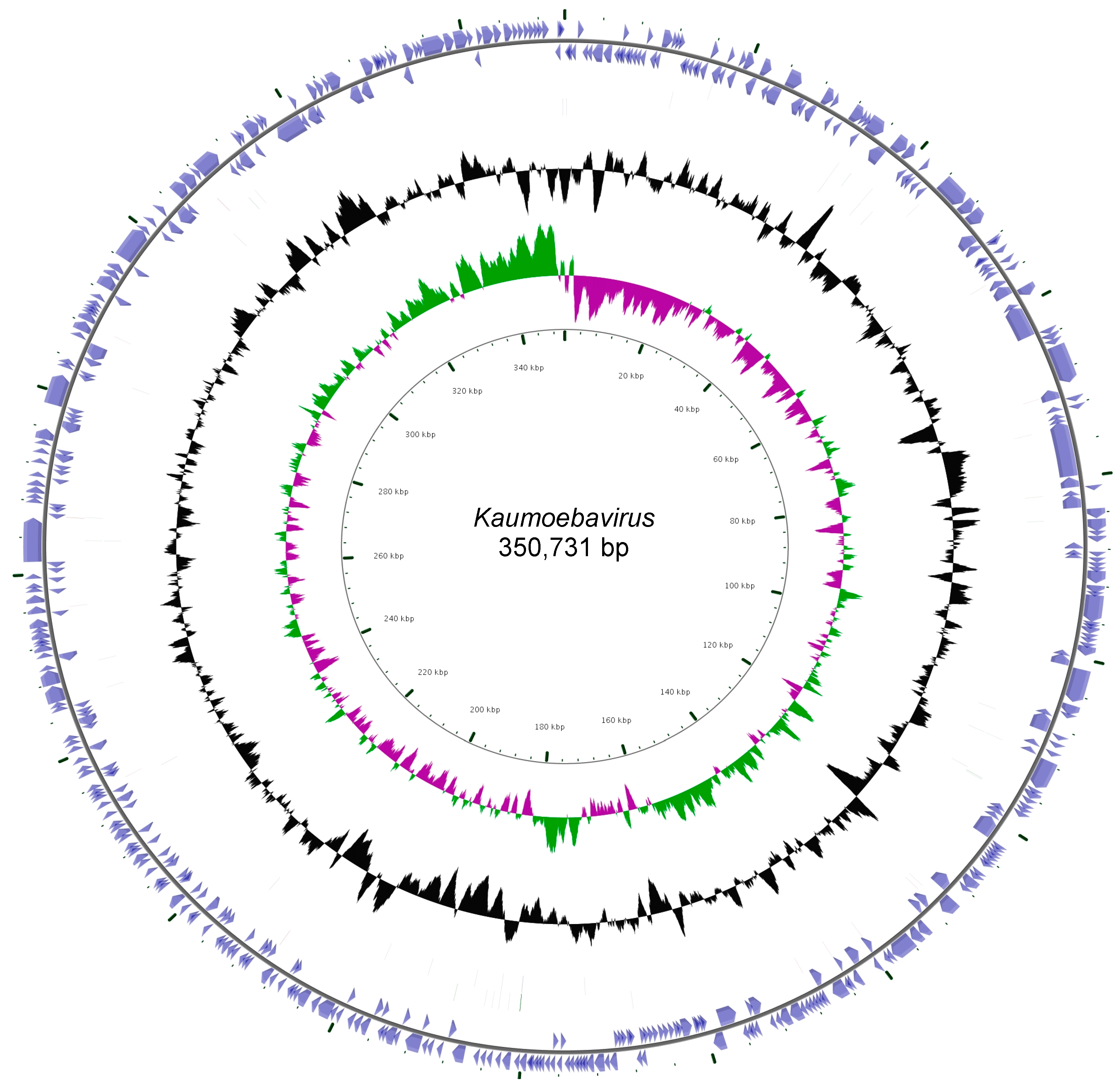 Viruses 08 00278 g002