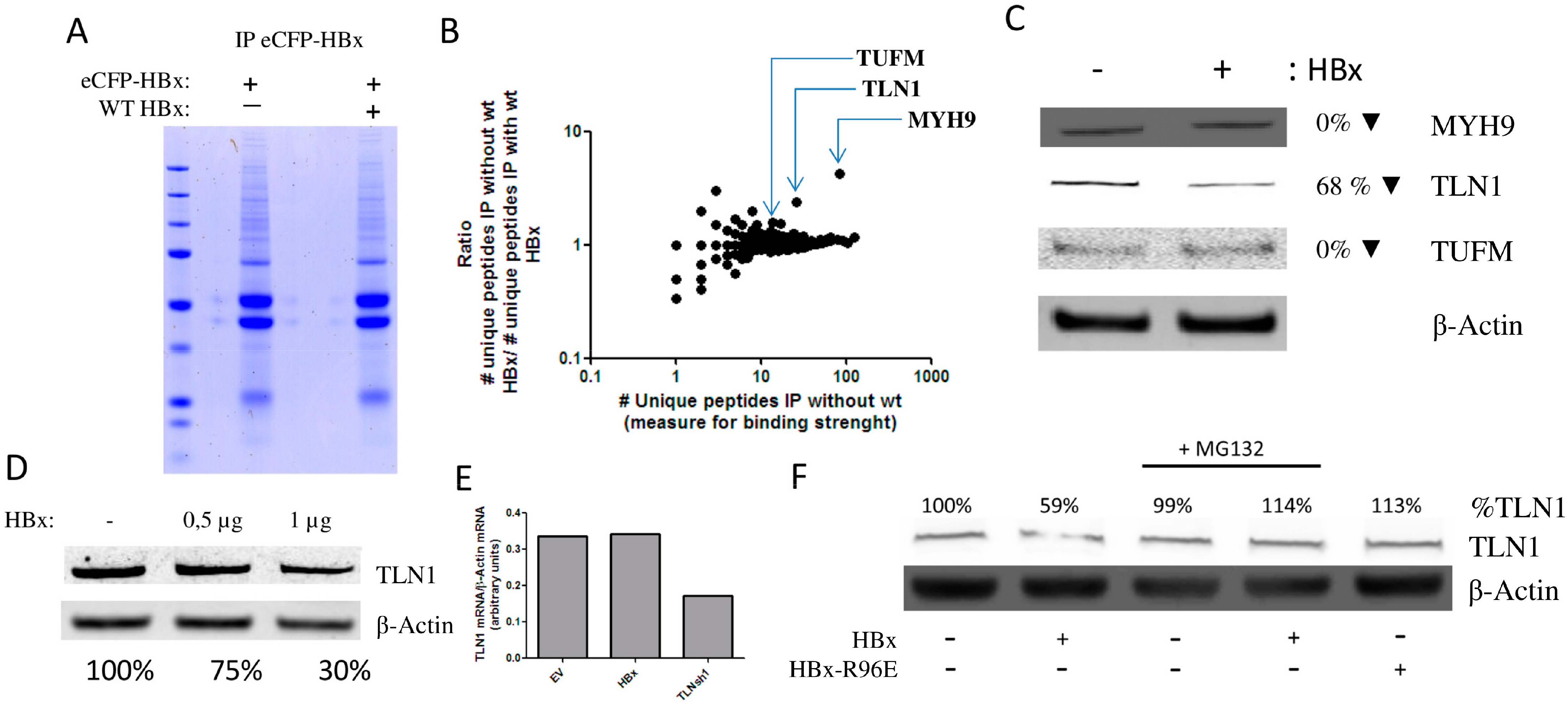 Viruses 08 00281 g002 550