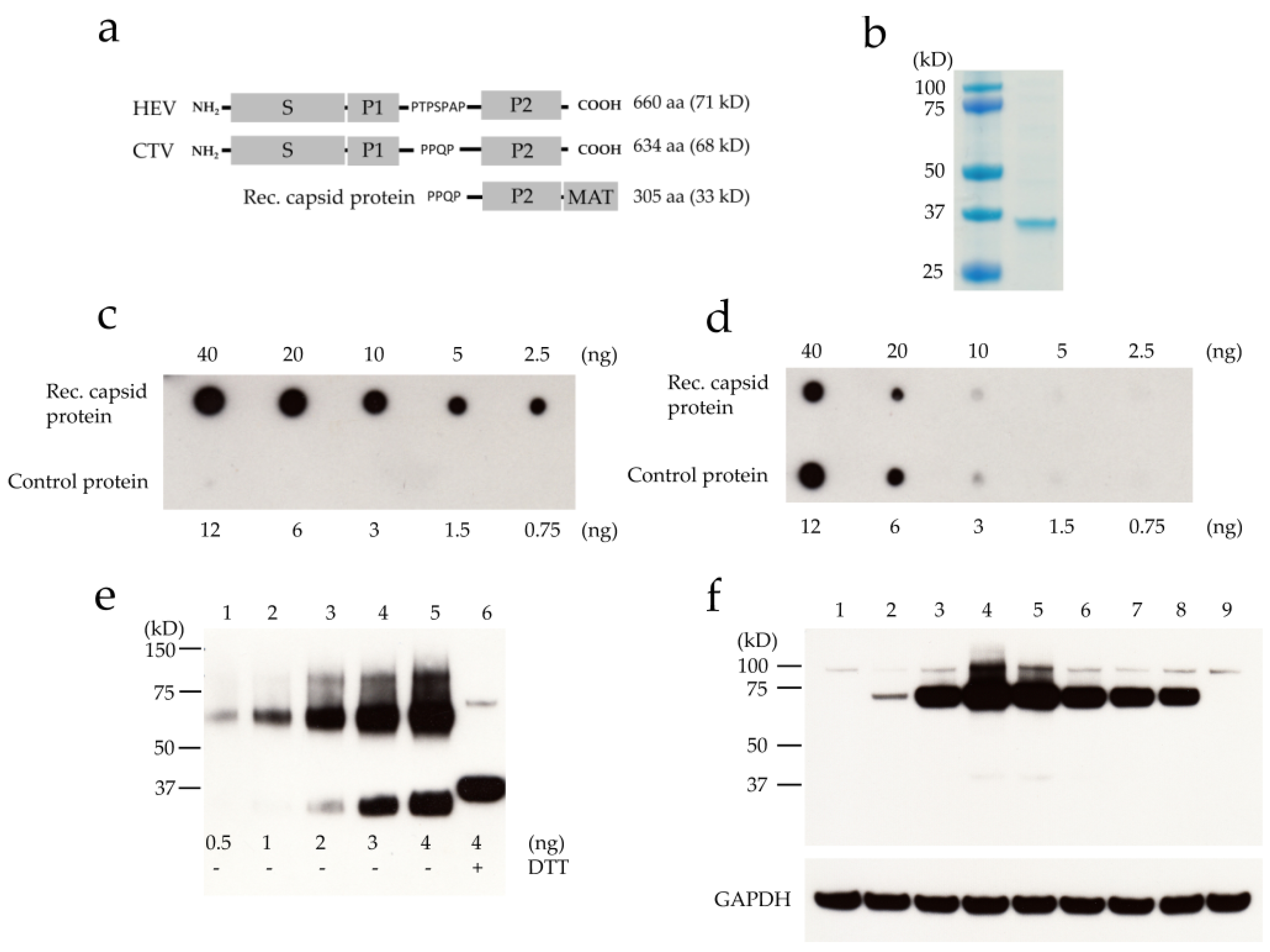 Viruses 08 00289 g003 550