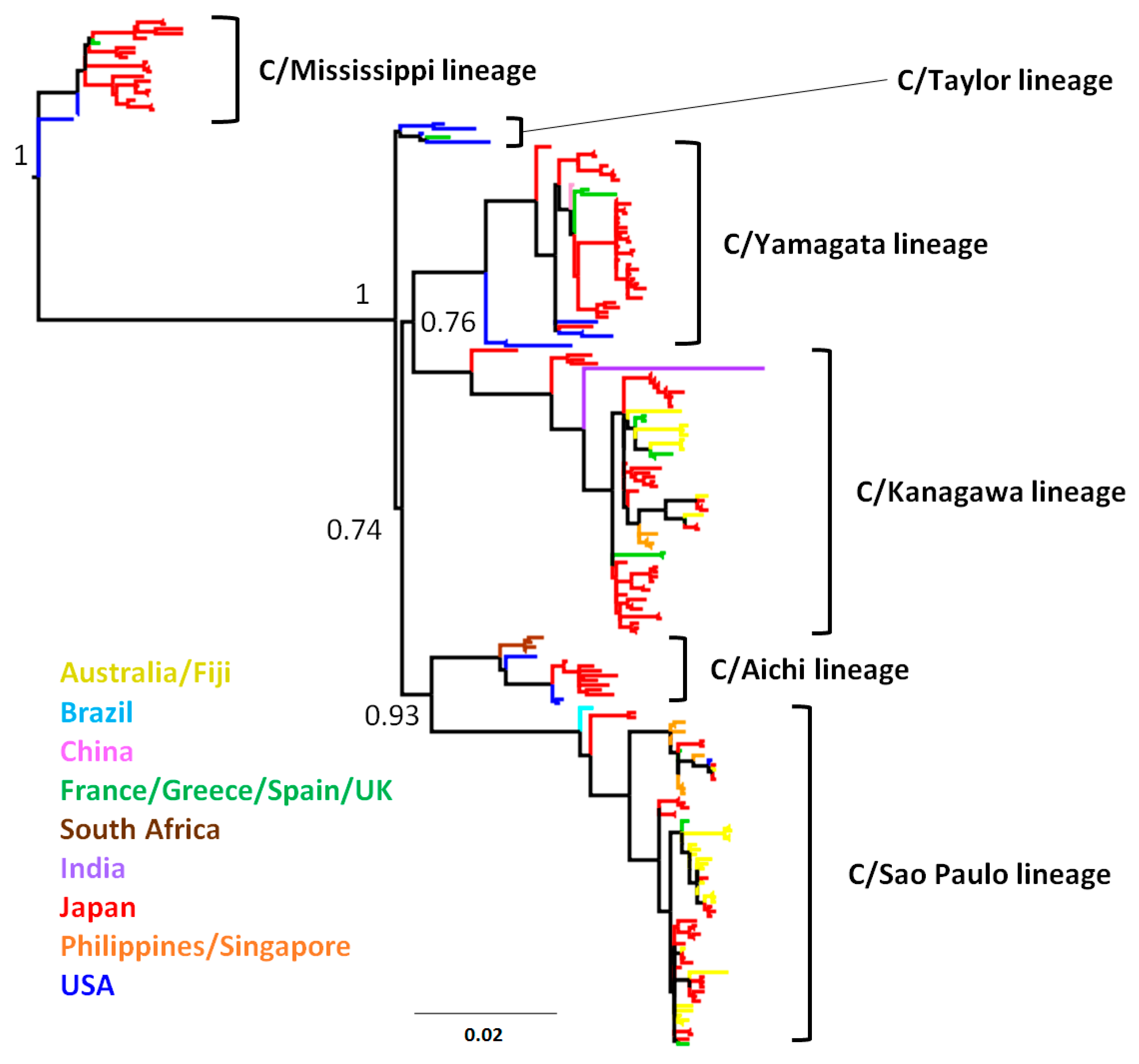 Download Diagram Of Genetic Drift Html Full Version Hd