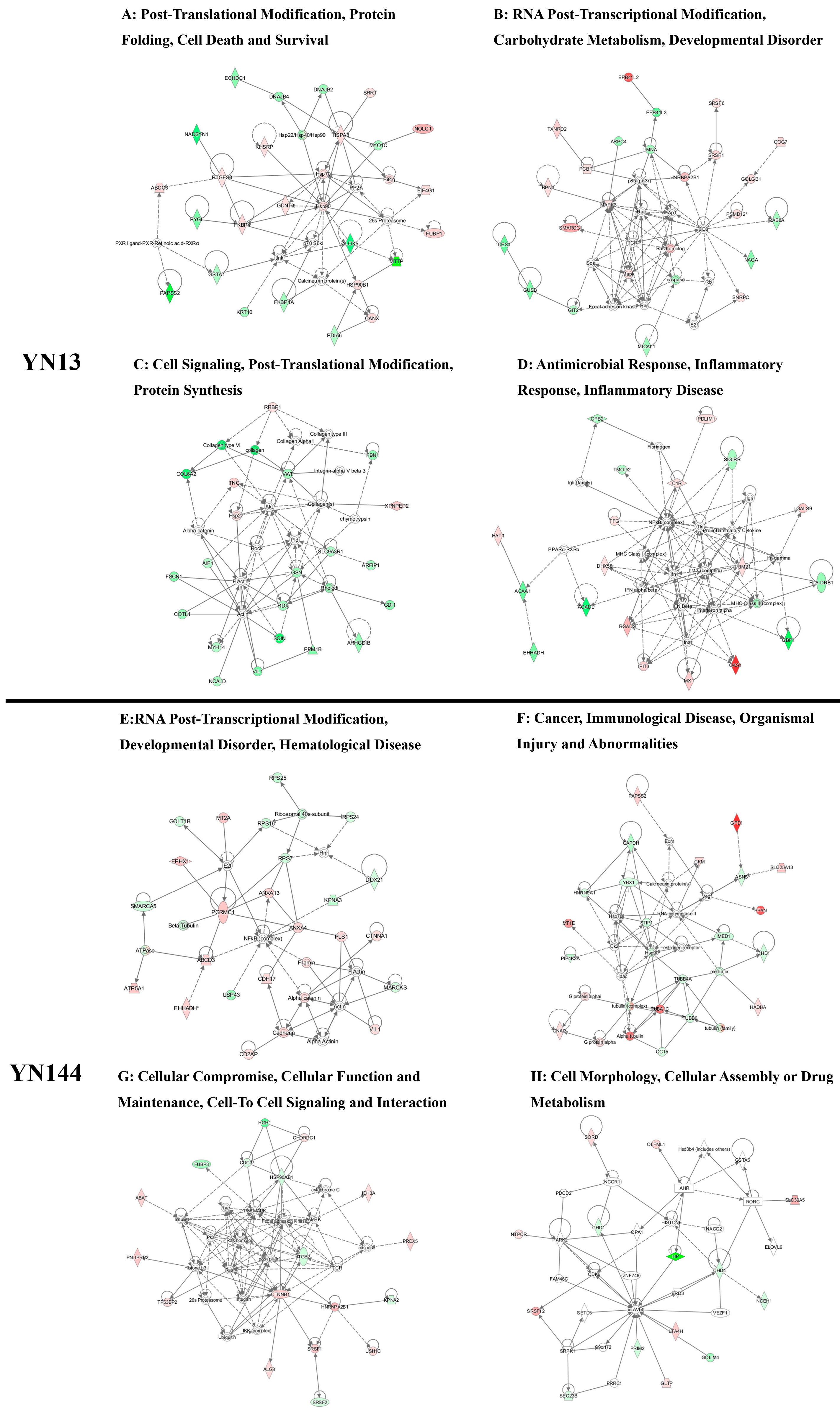 Viruses 08 00323 g004 550