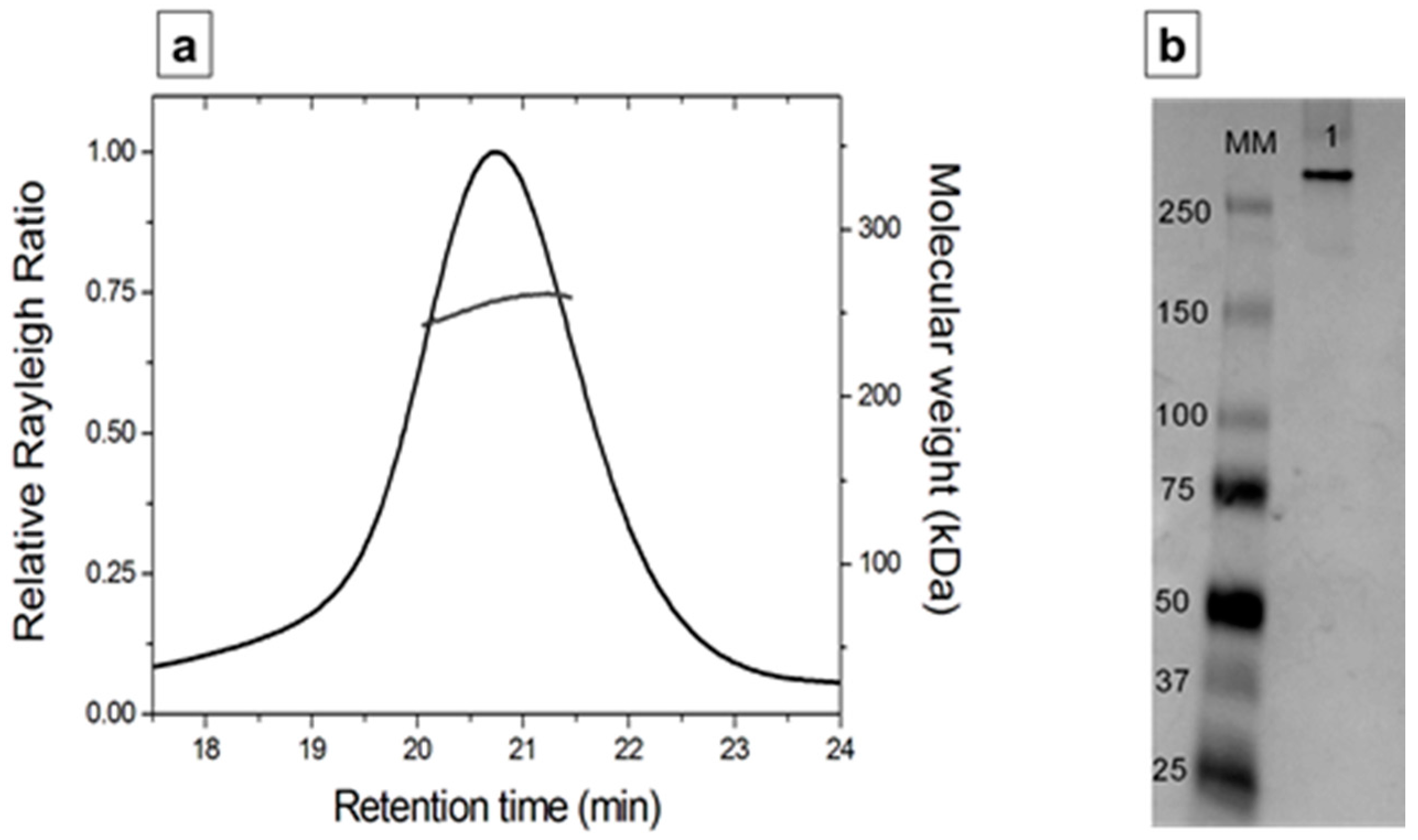 Viruses 08 00324 g007 550