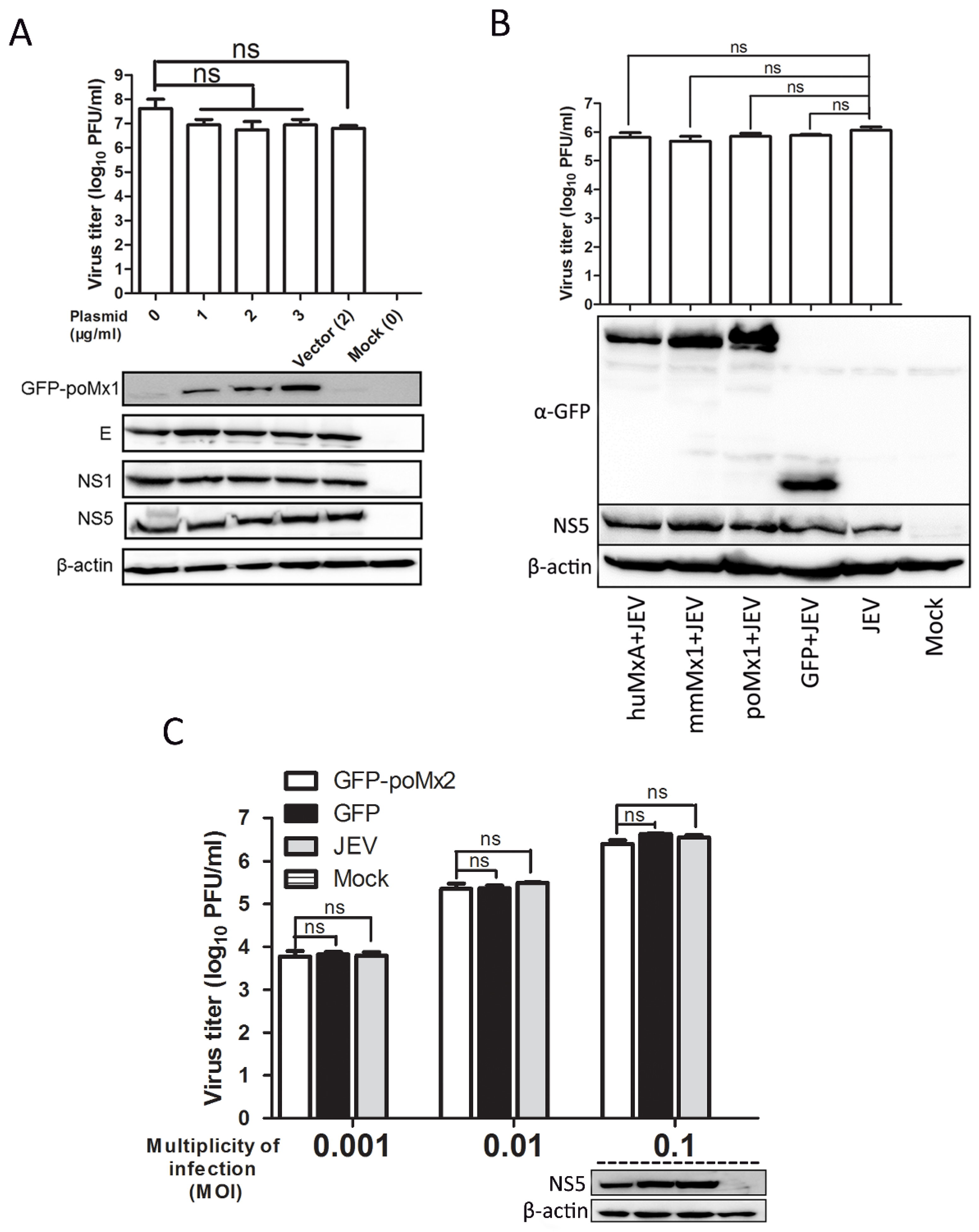 Viruses 09 00005 g002