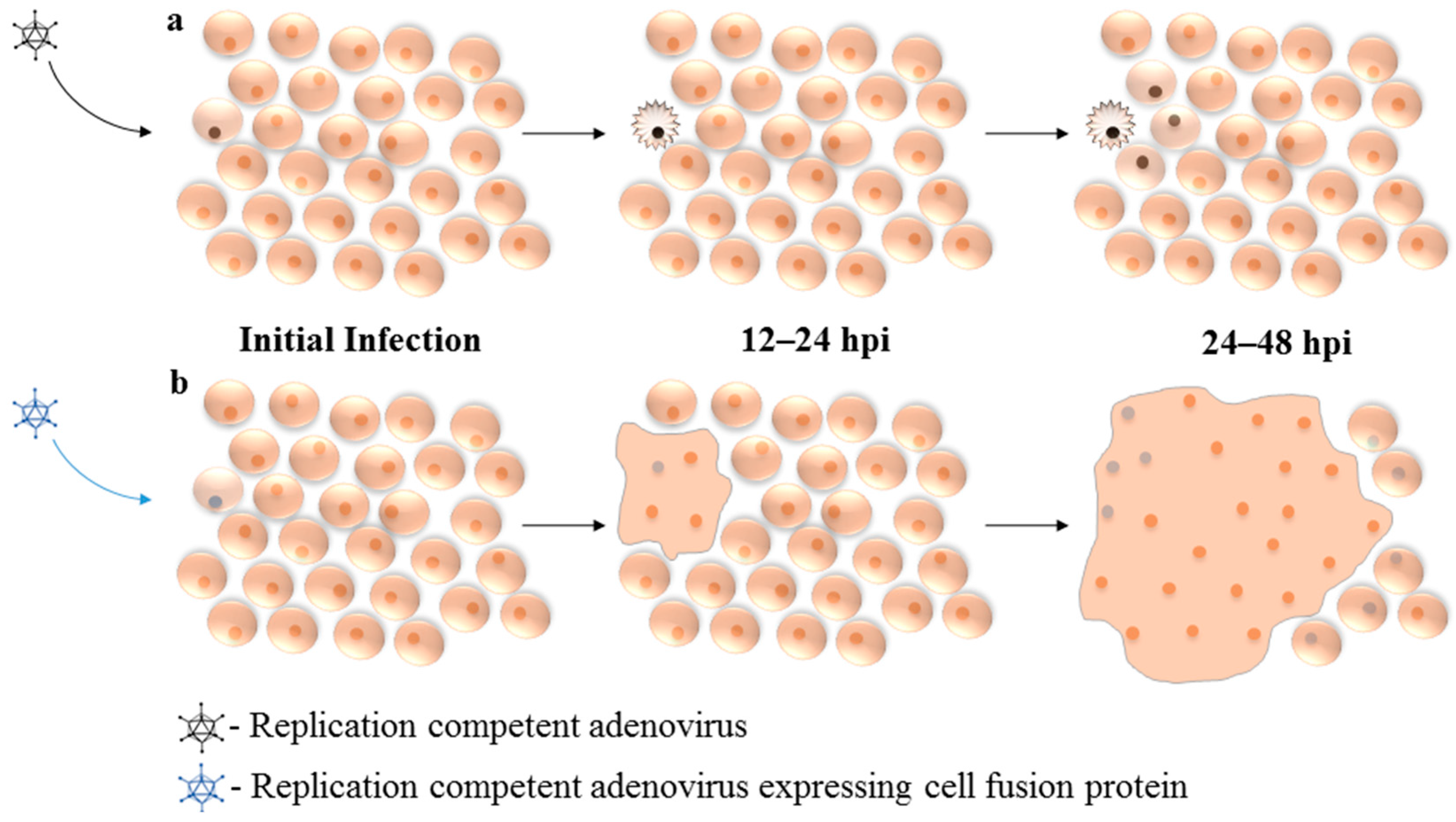 Viruses 09 00013 g002 550