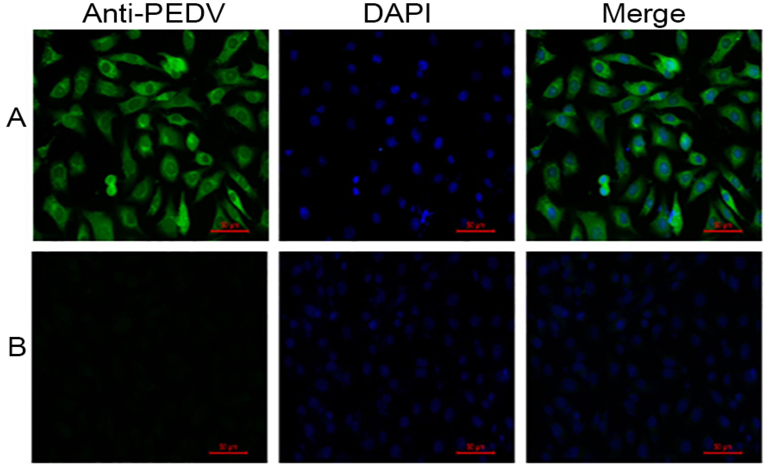 Viruses 09 00019 g004