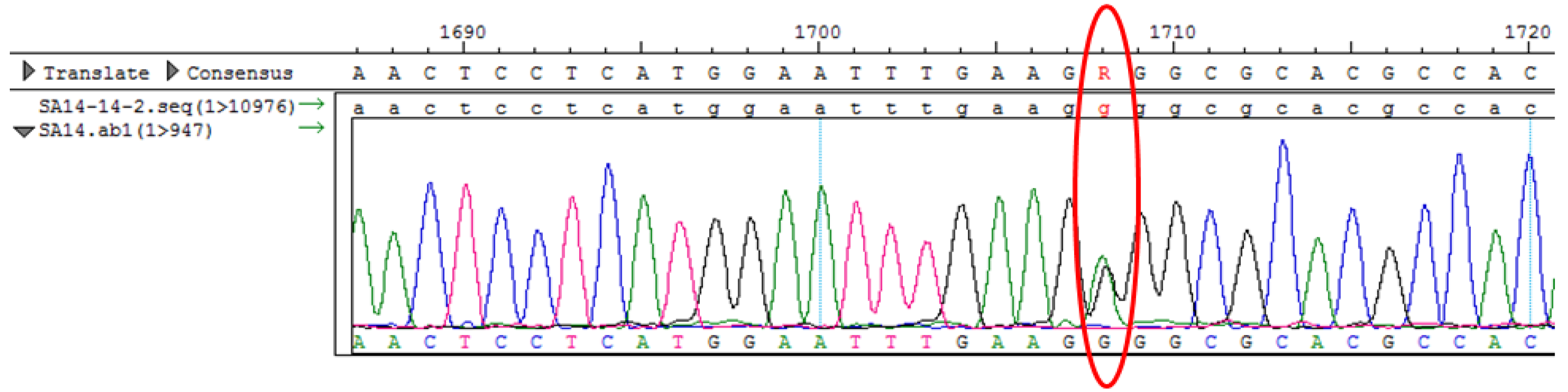 Viruses 09 00020 g003