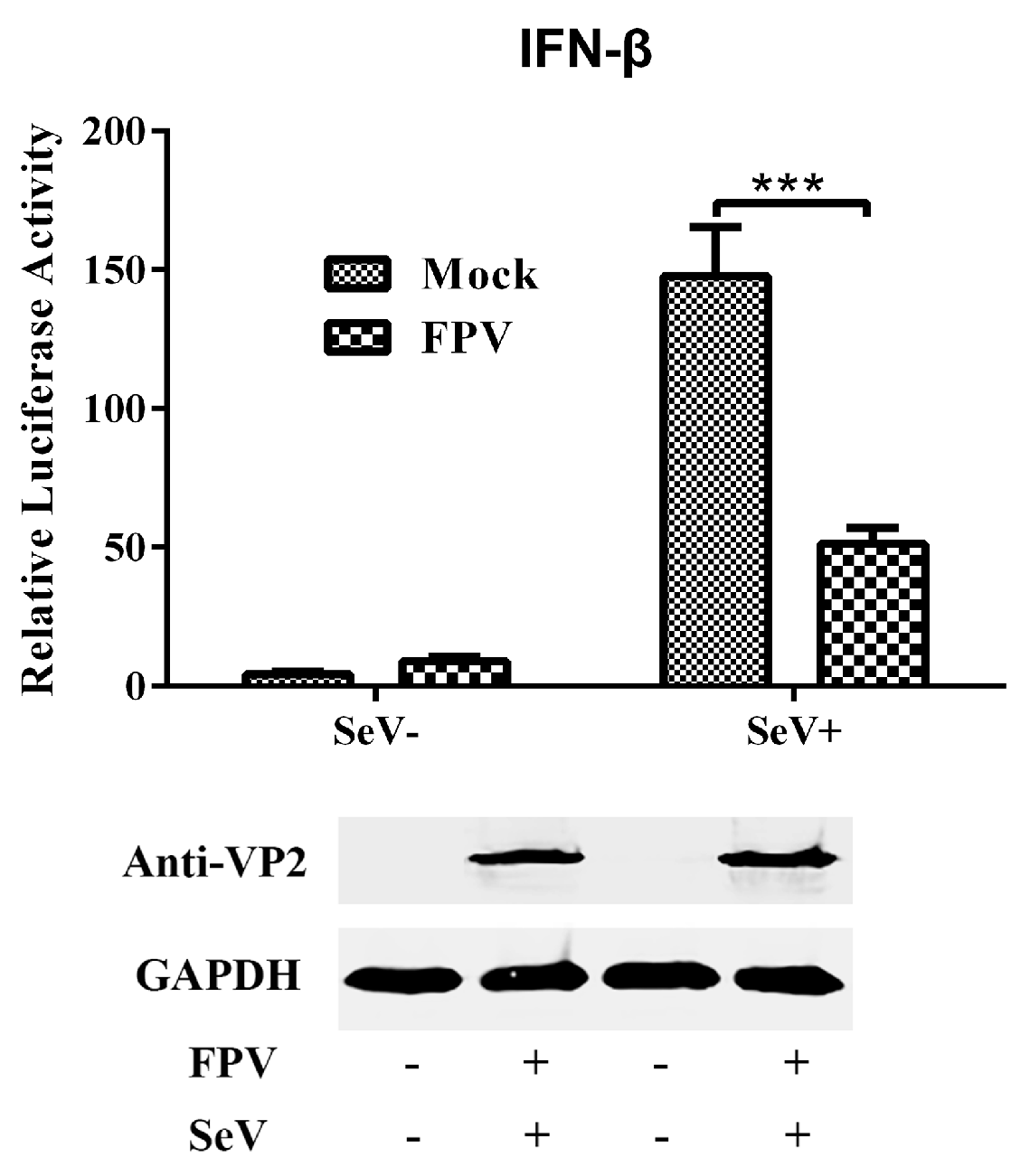 Viruses 09 00023 g001 550