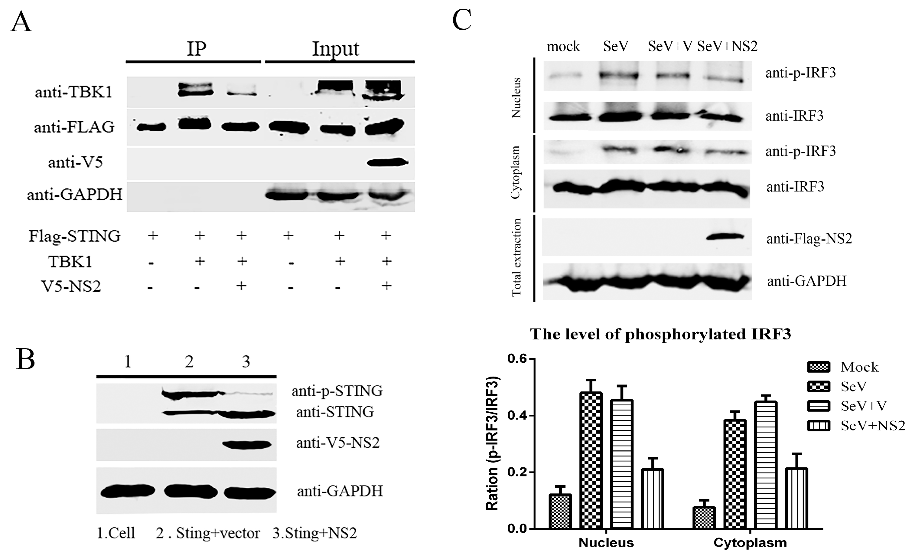 Viruses 09 00023 g006 550