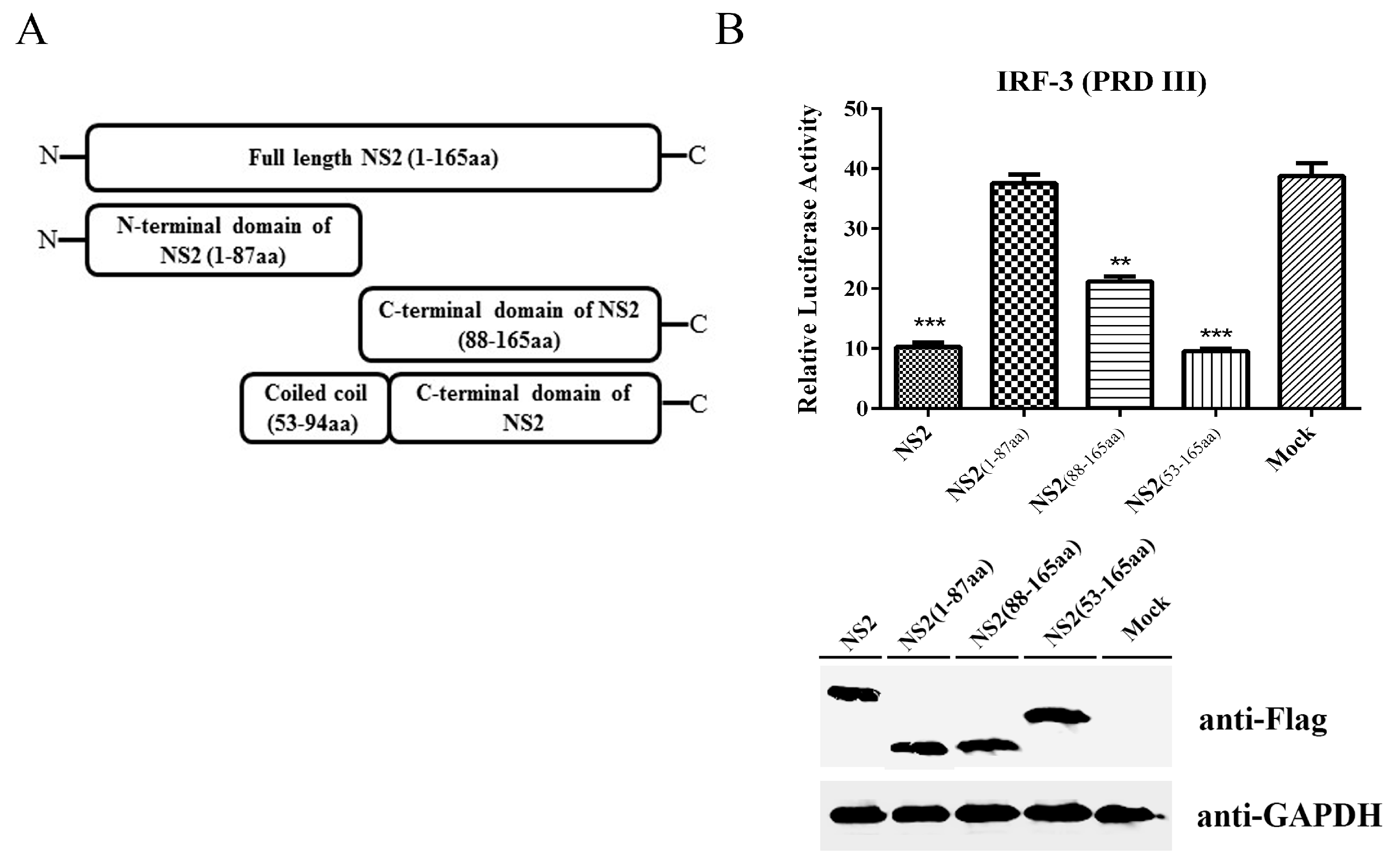 Viruses 09 00023 g007 550