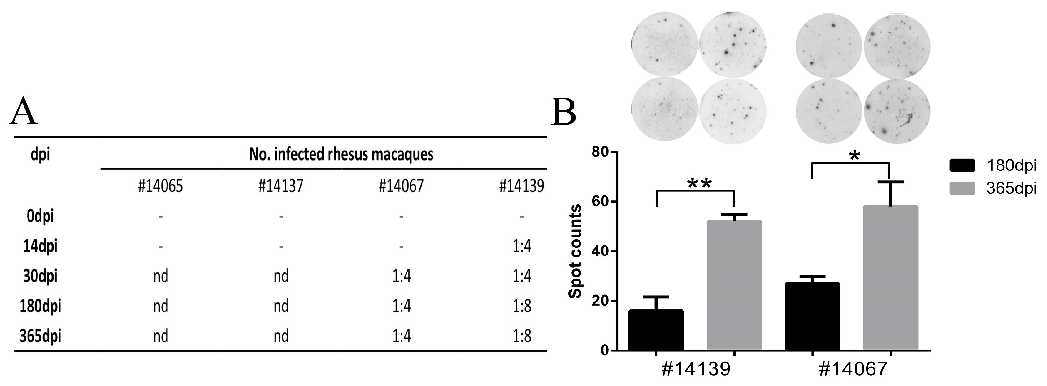 Viruses | Free Full-Text | The Characteristics of Herpes Simplex Virus Type 1 ...3382 x 1248