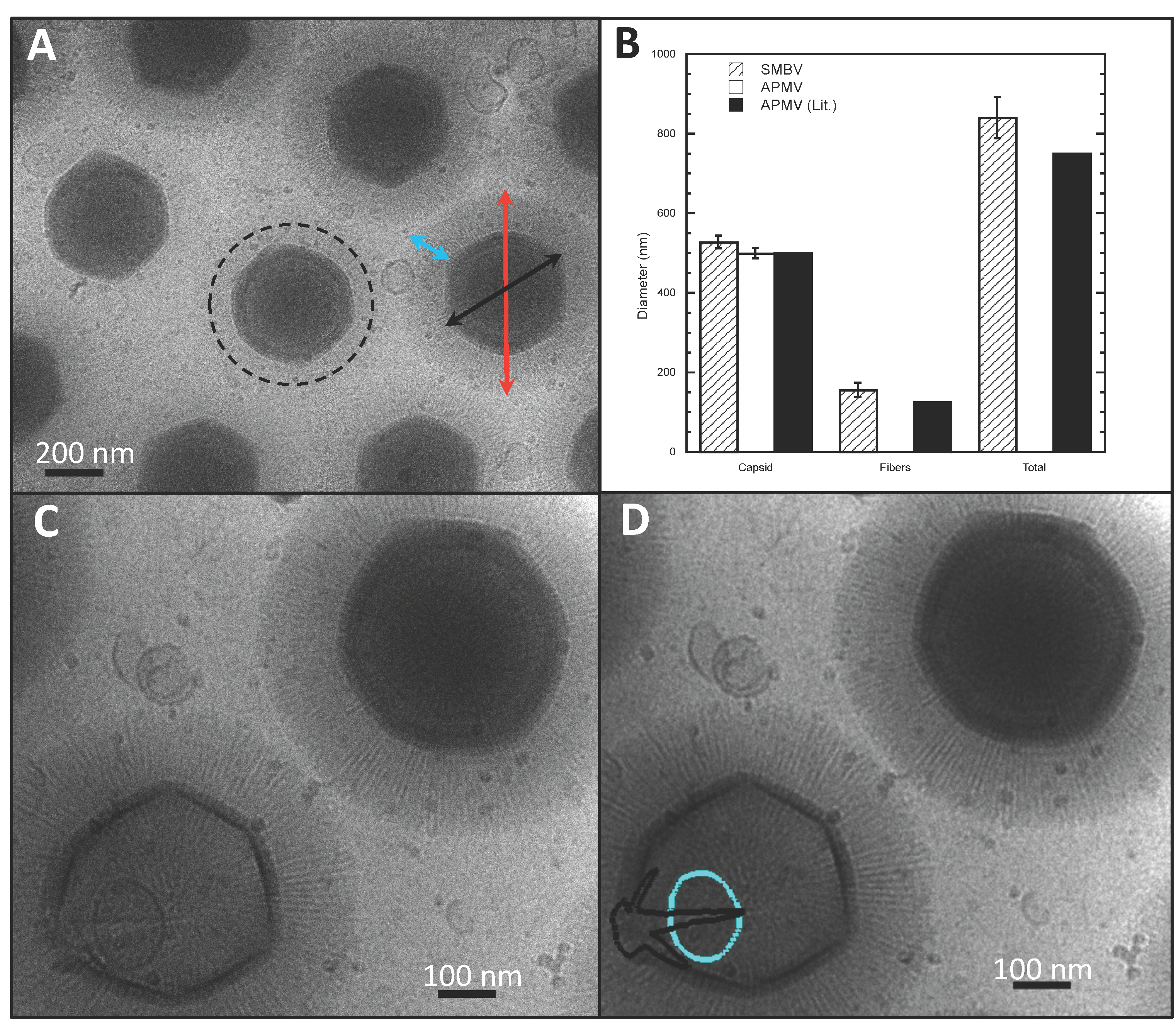 Viruses 09 00030 g001 550
