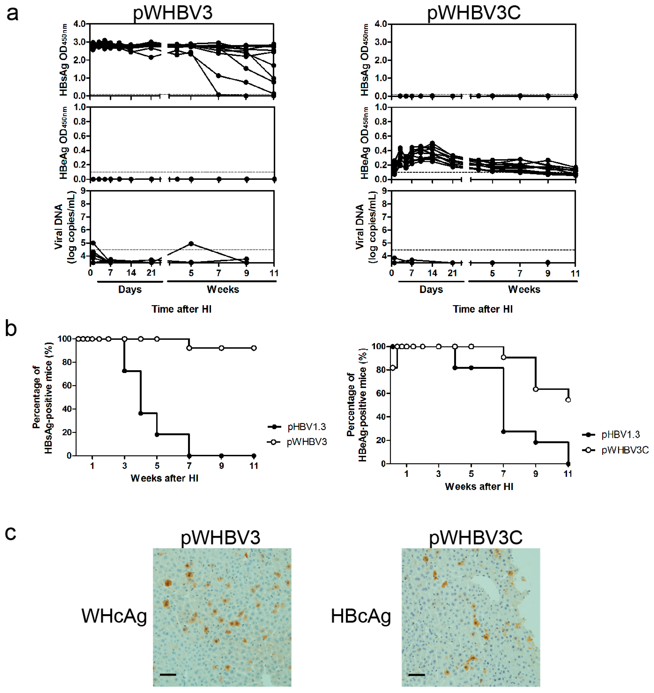 Viruses 09 00035 g003