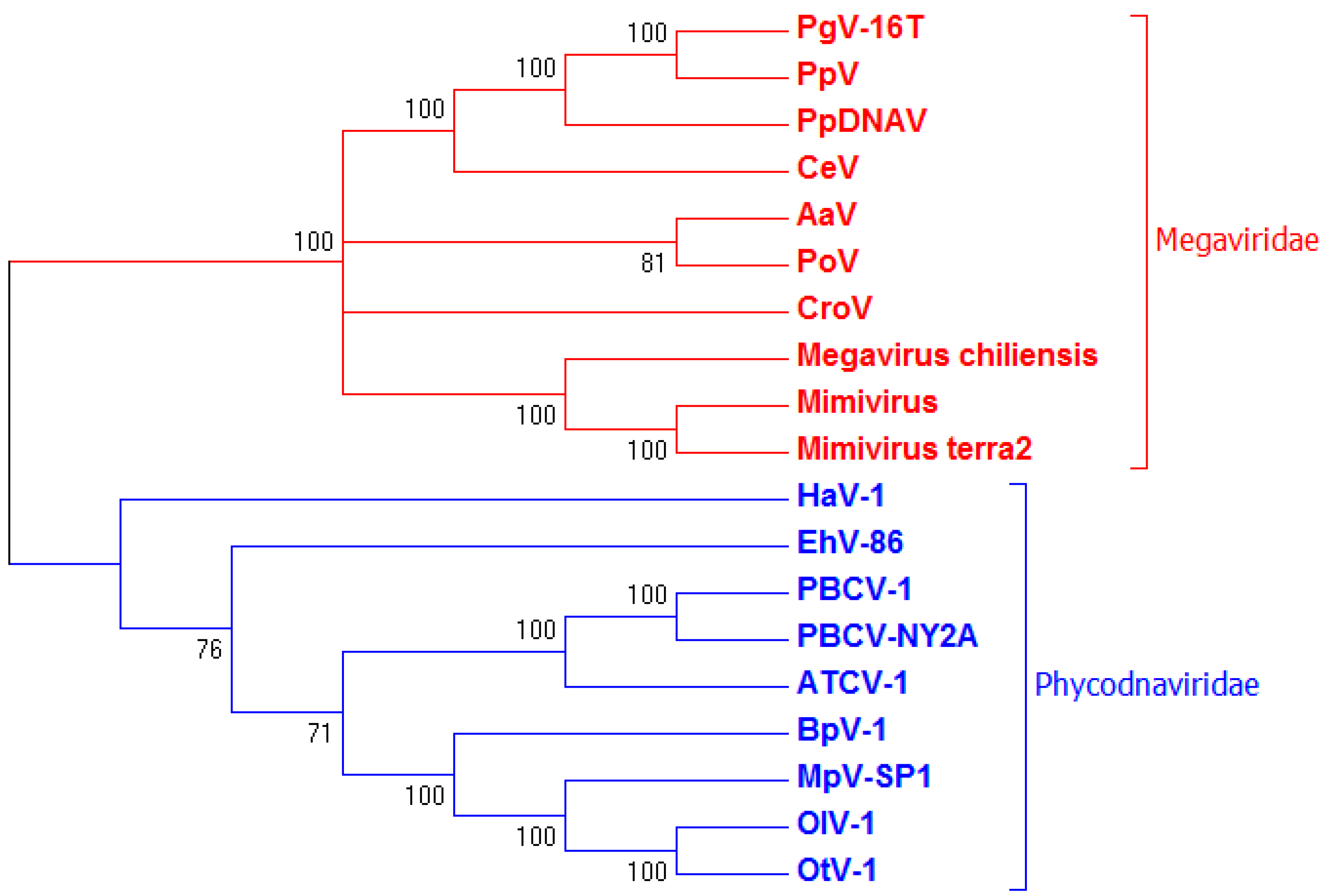 Viruses 09 00040 g004