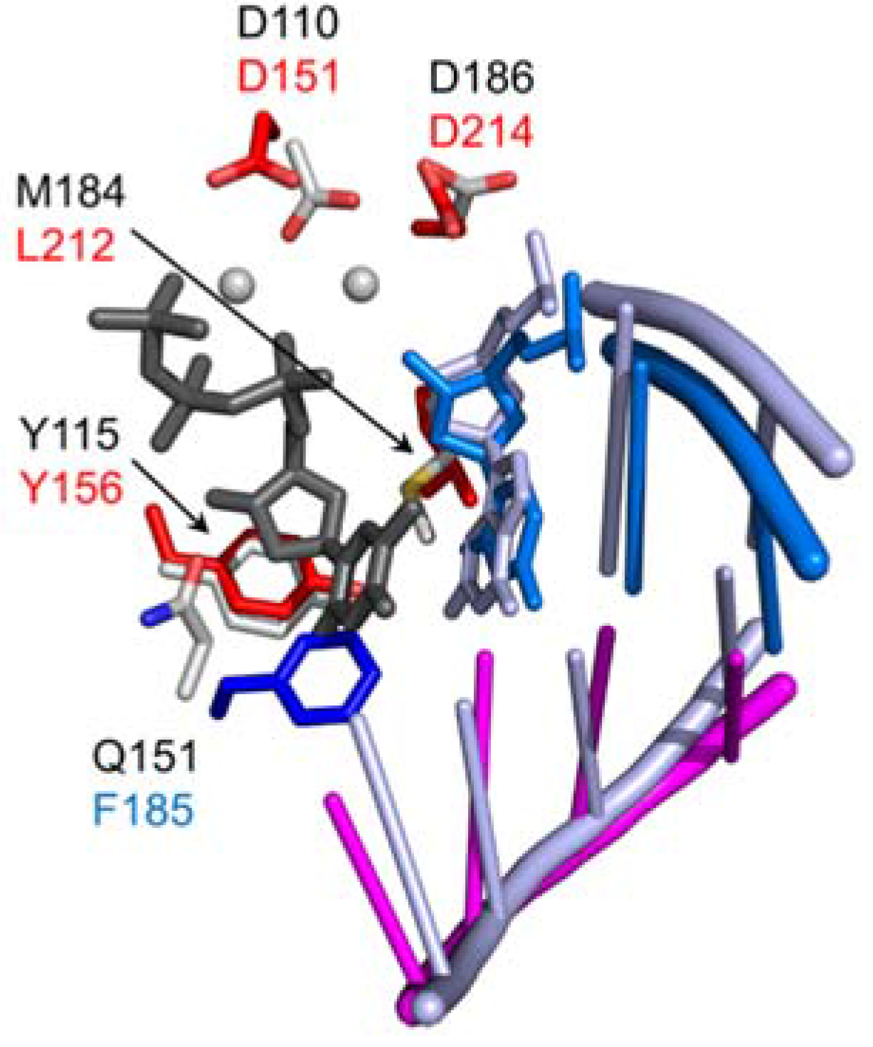 Viruses 09 00044 g004 550