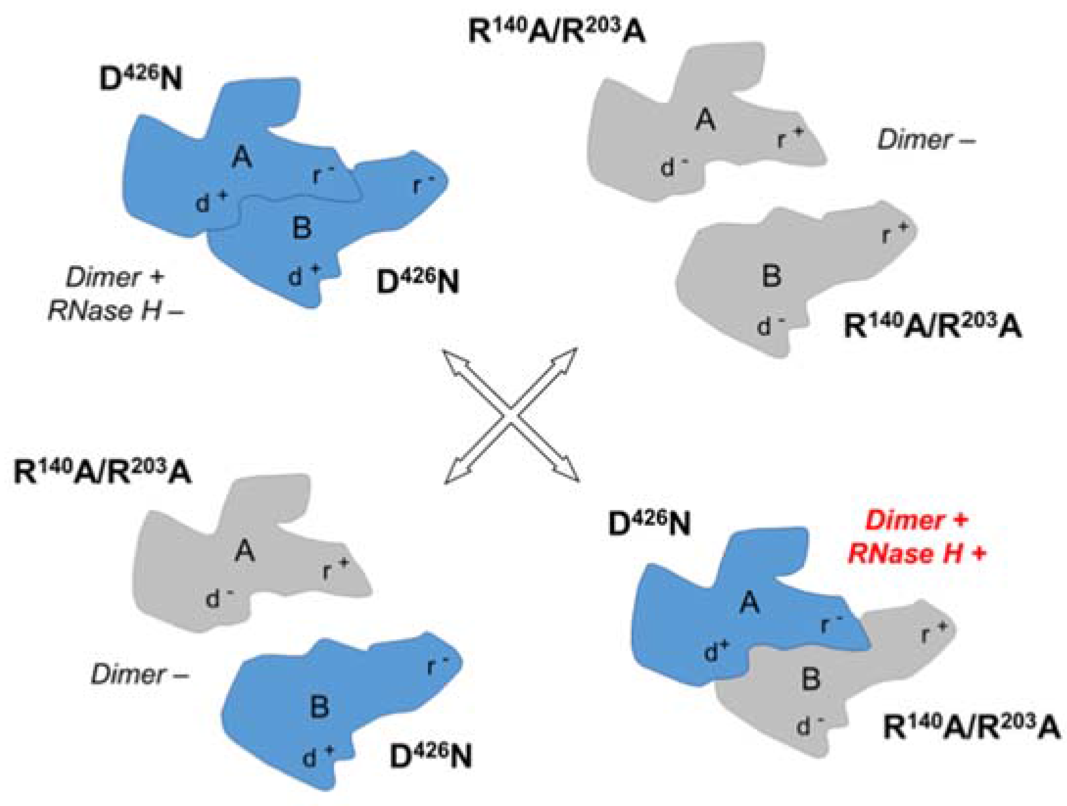 Viruses 09 00044 g005 550