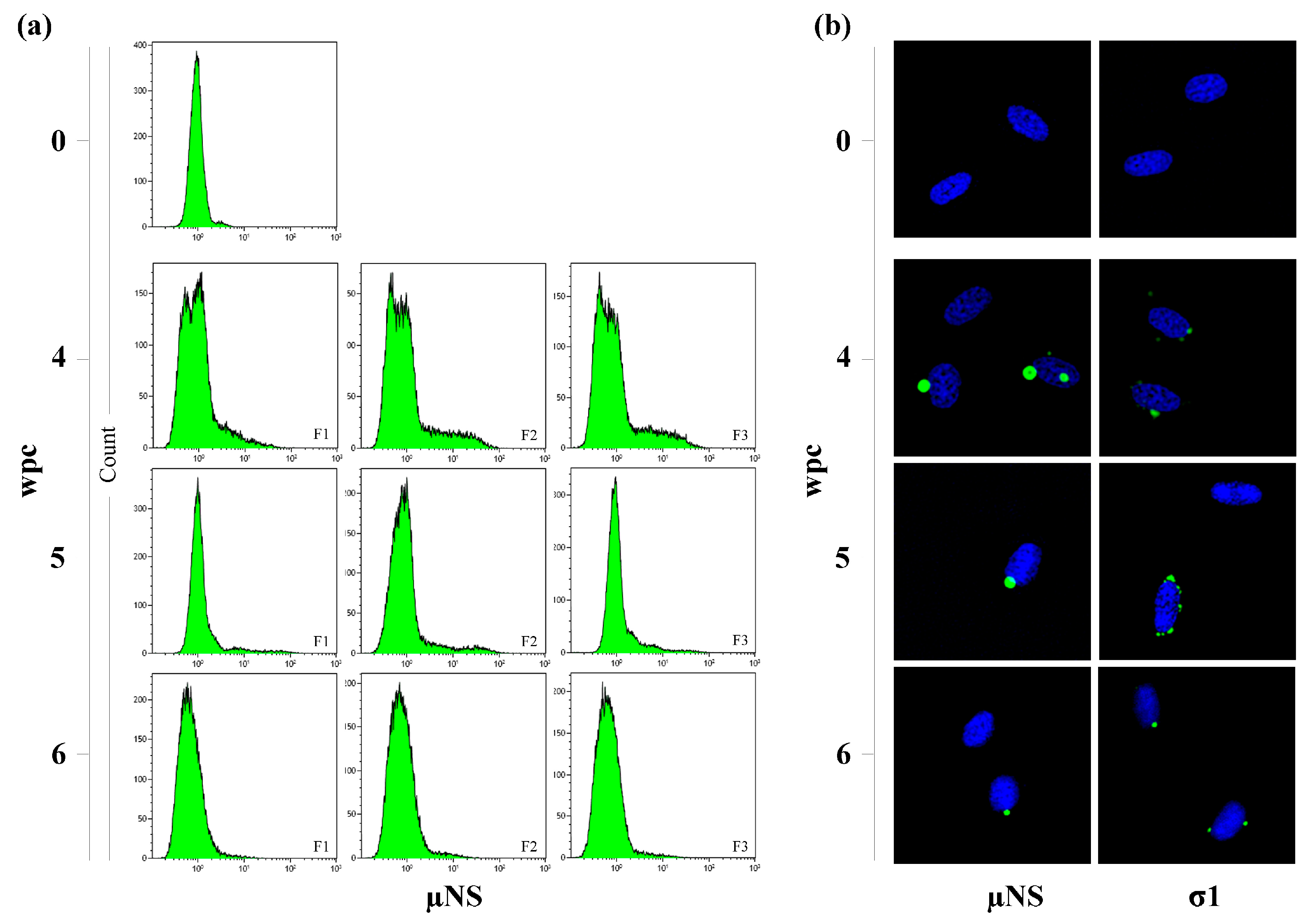 Viruses 09 00049 g003