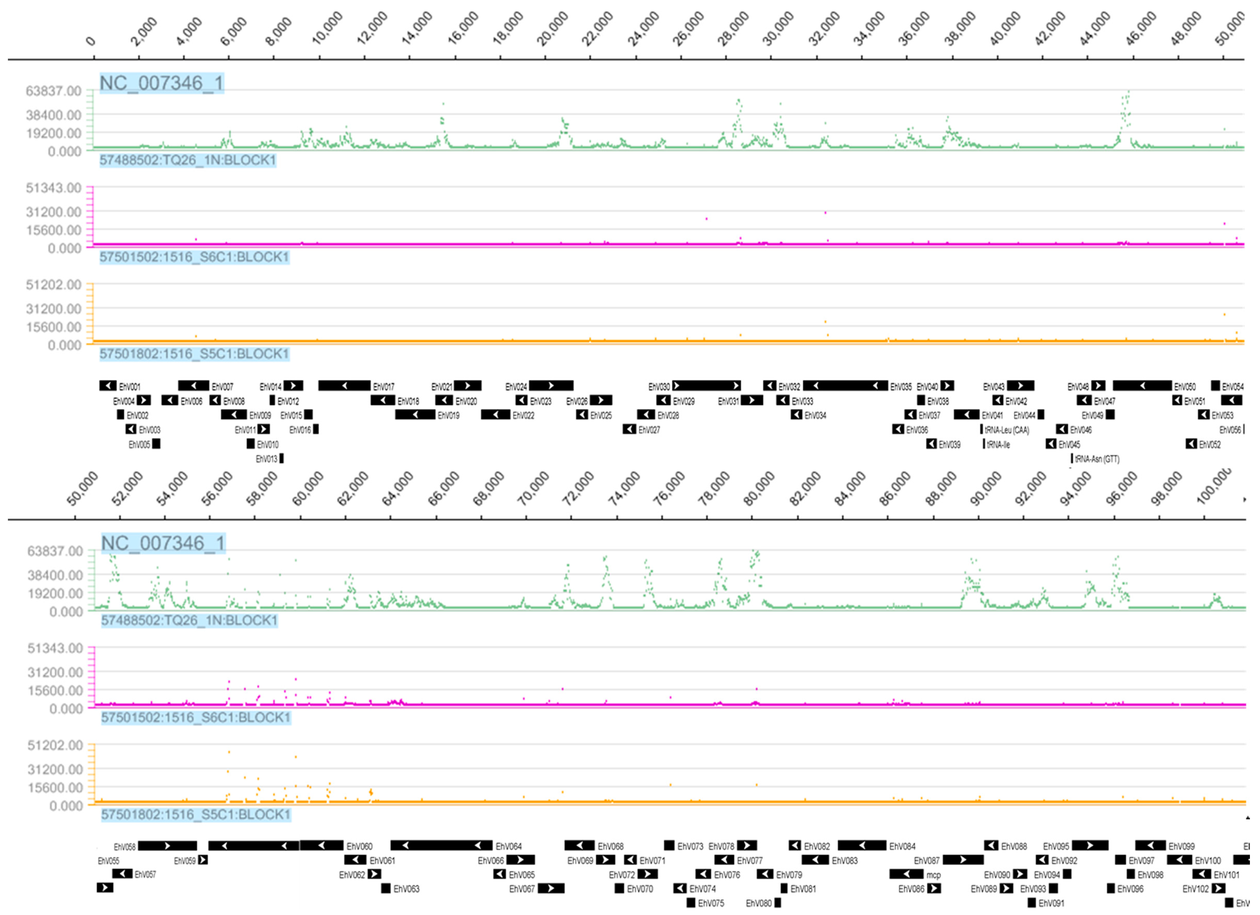 Viruses 09 00051 g002a