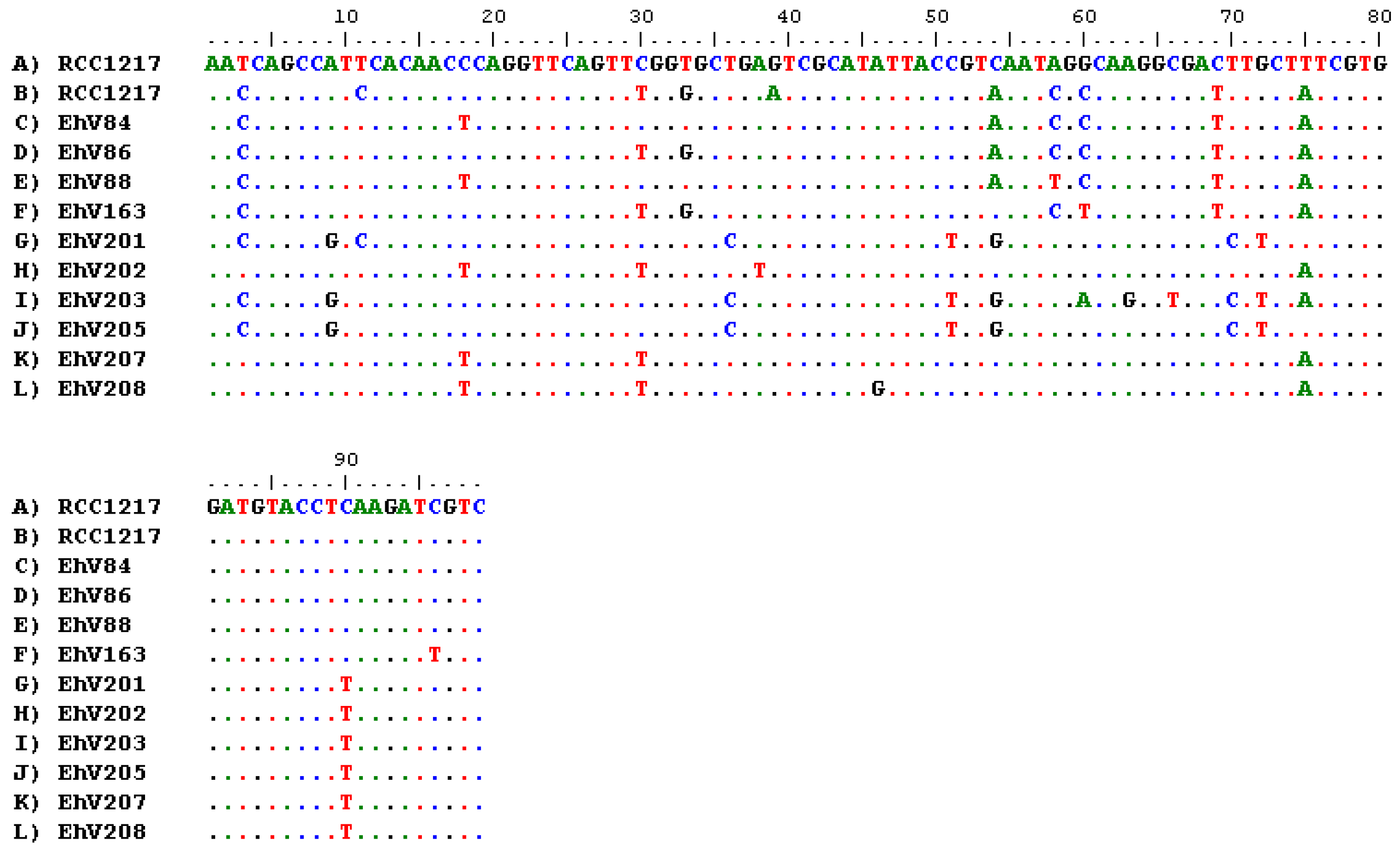 Viruses 09 00051 g004