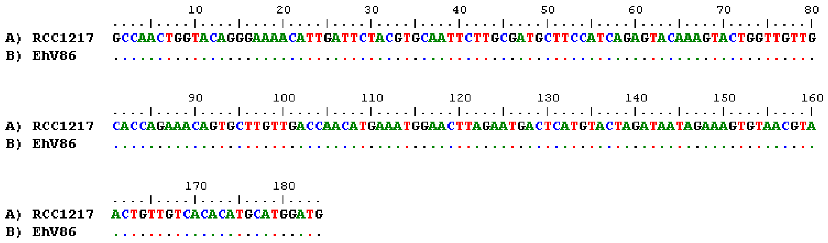 Viruses 09 00051 g005