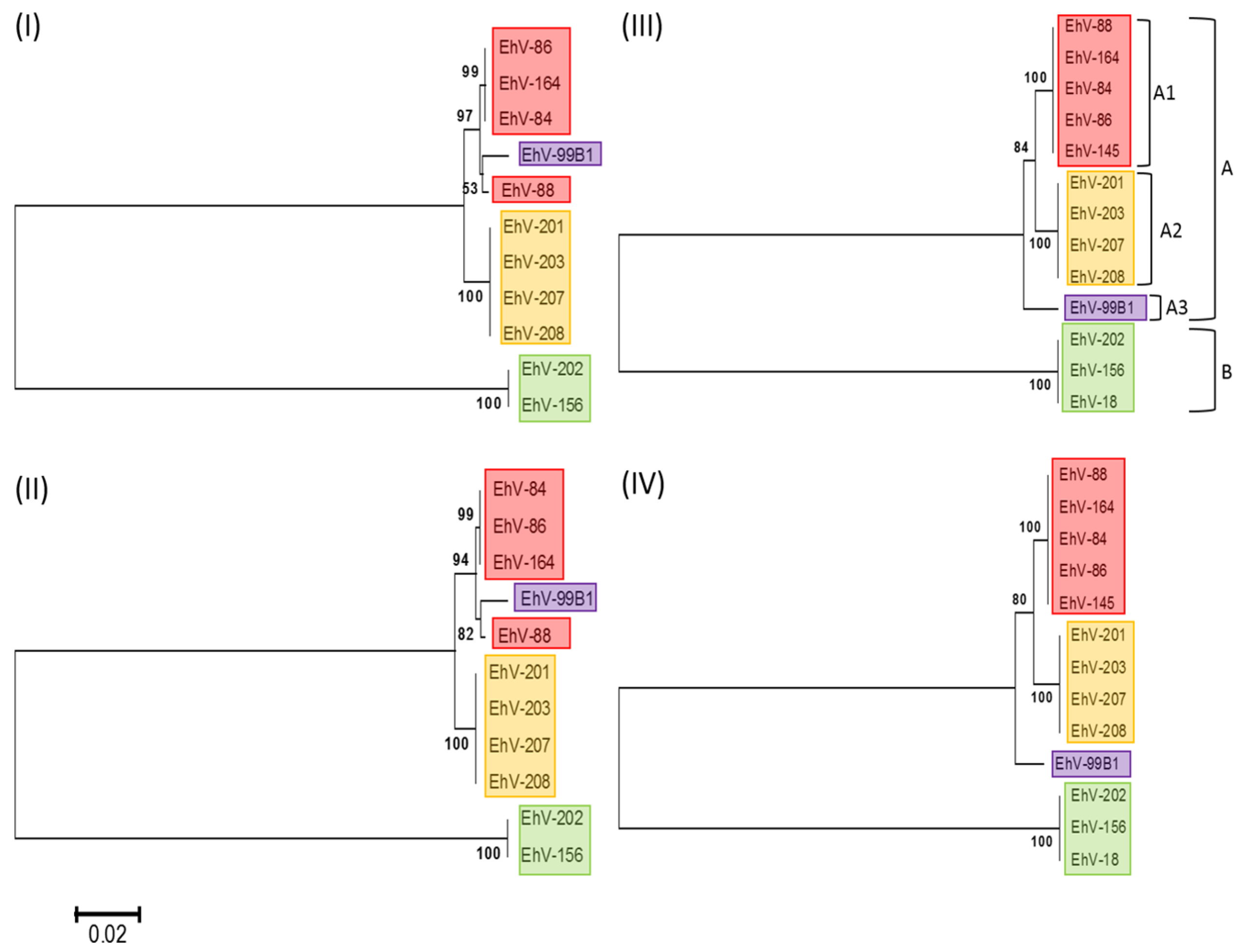 Viruses 09 00052 g001