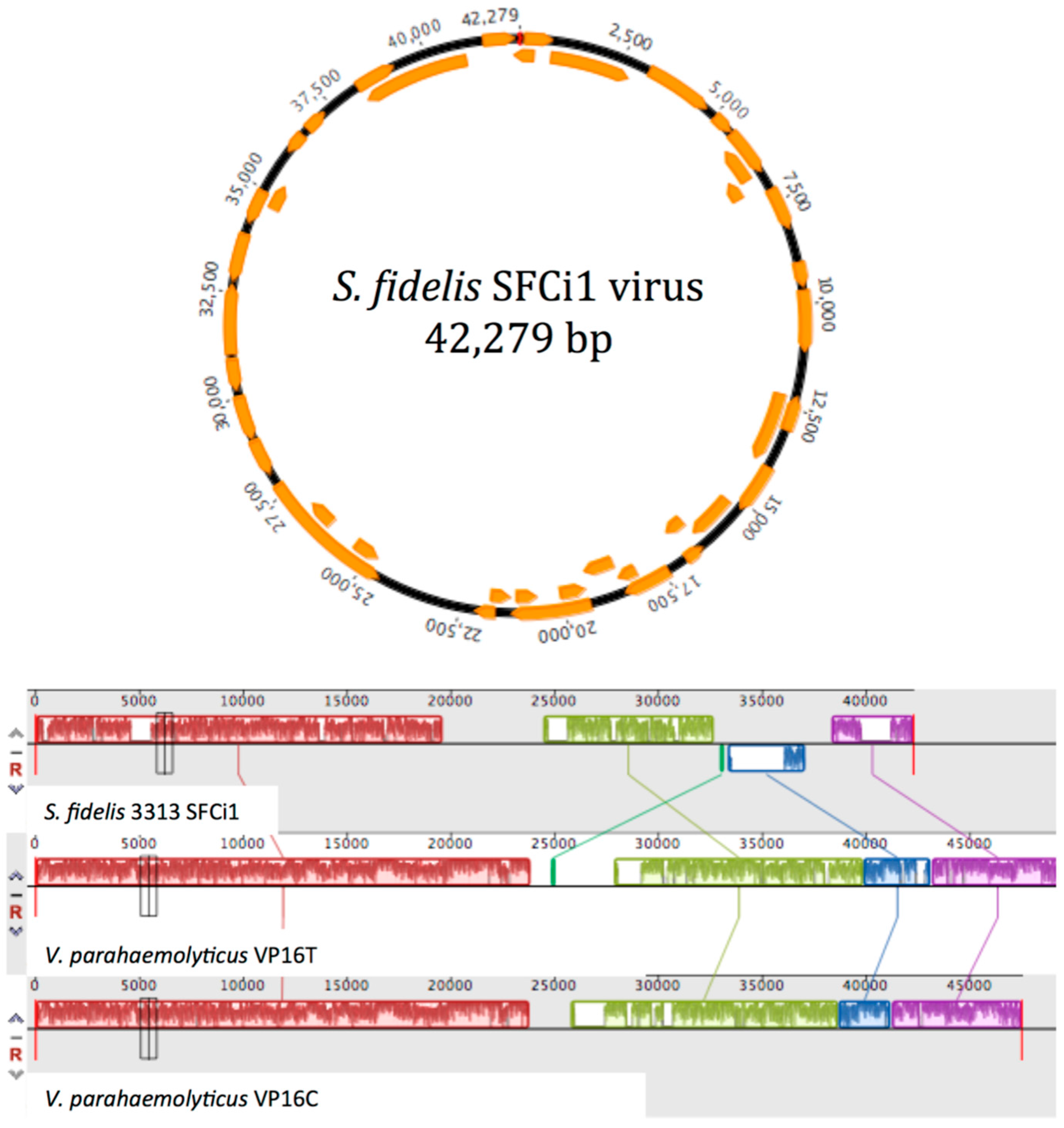 Viruses 09 00060 g003