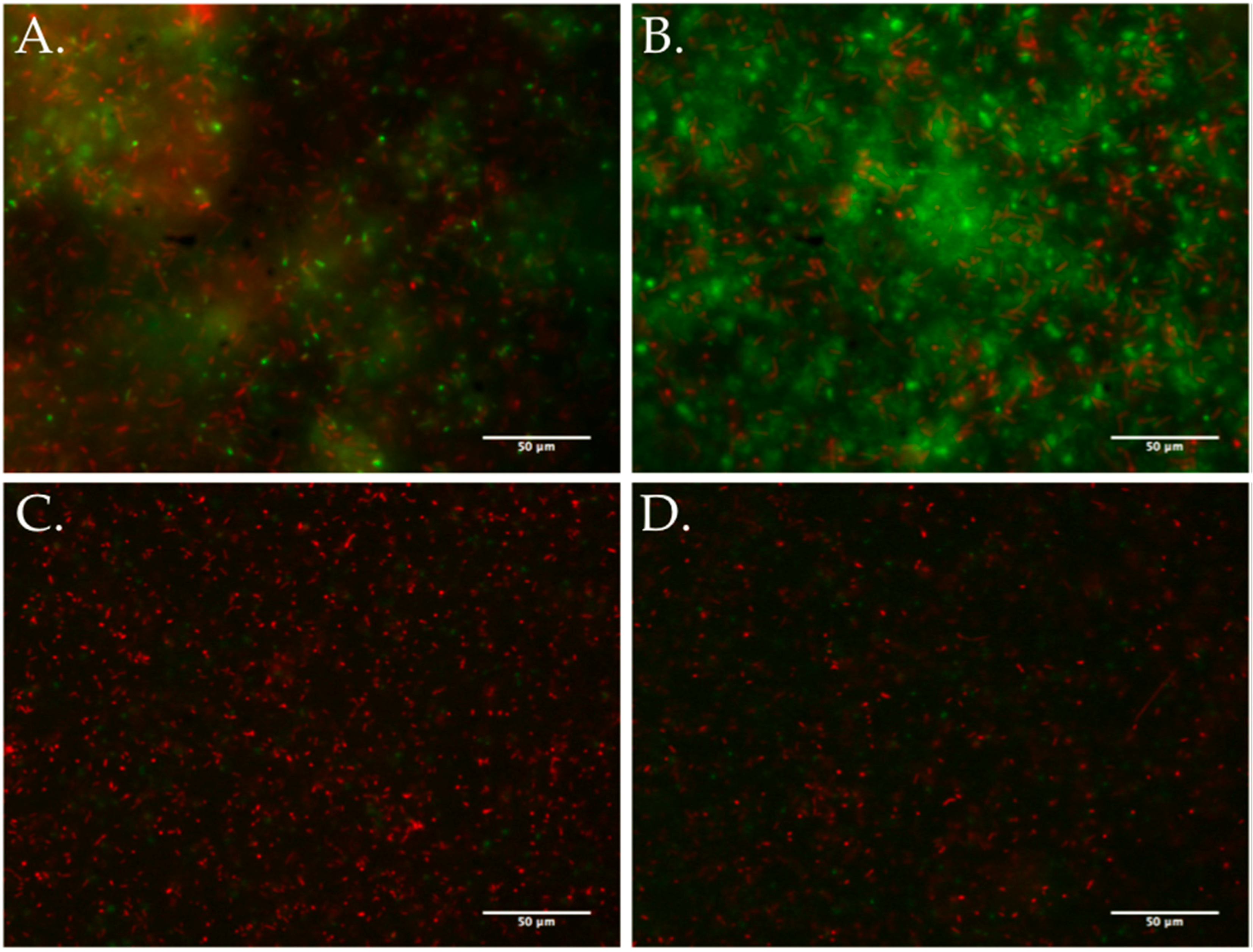 Viruses 09 00060 g007