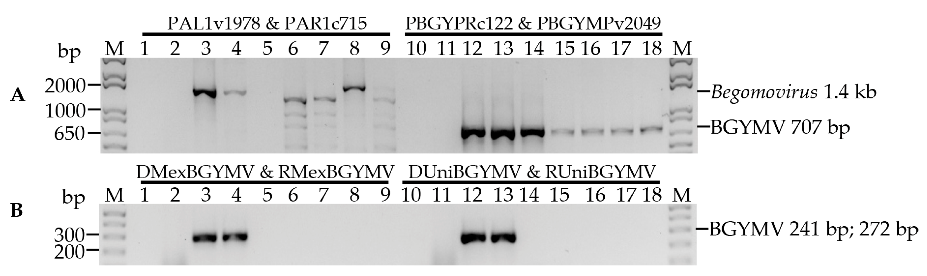 Viruses 09 00063 g001