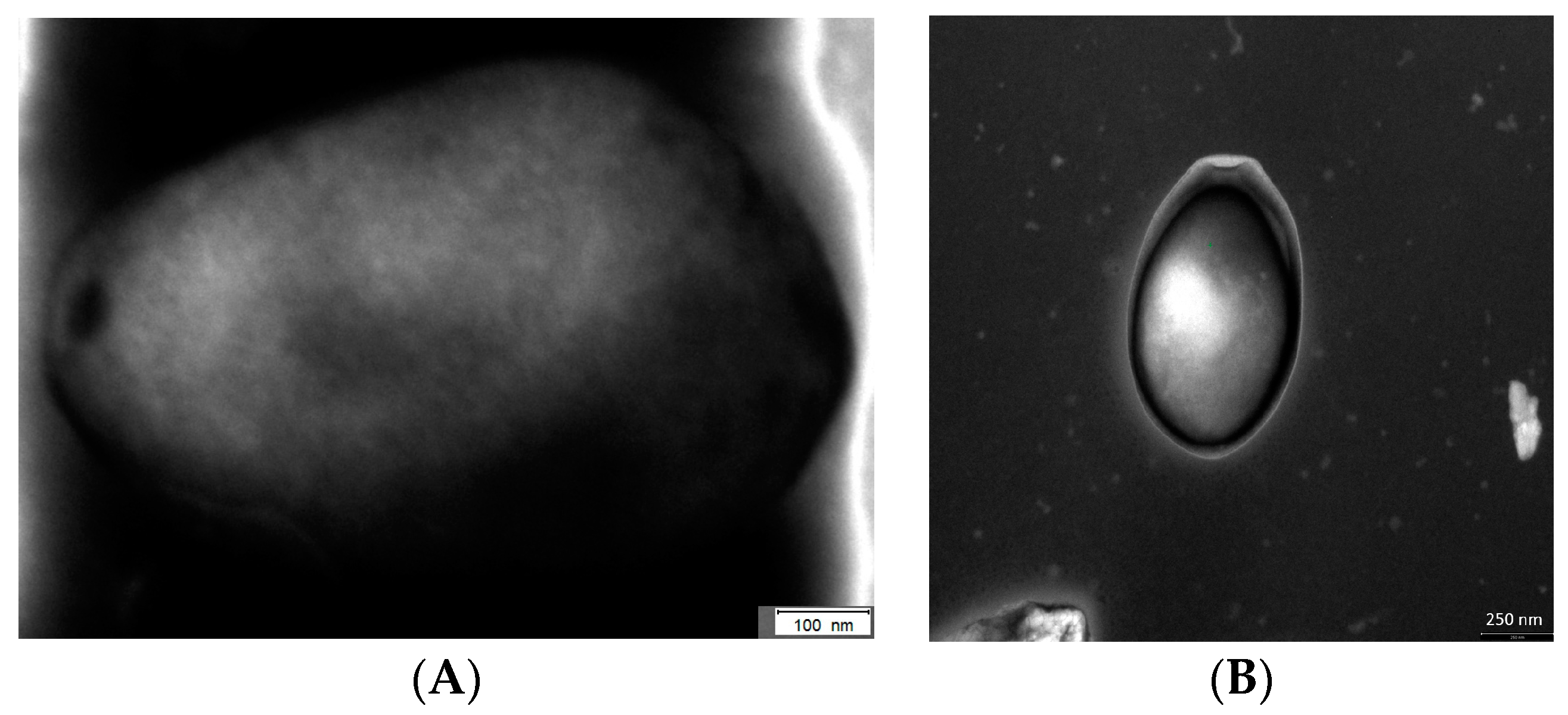 Viruses 09 00065 g001