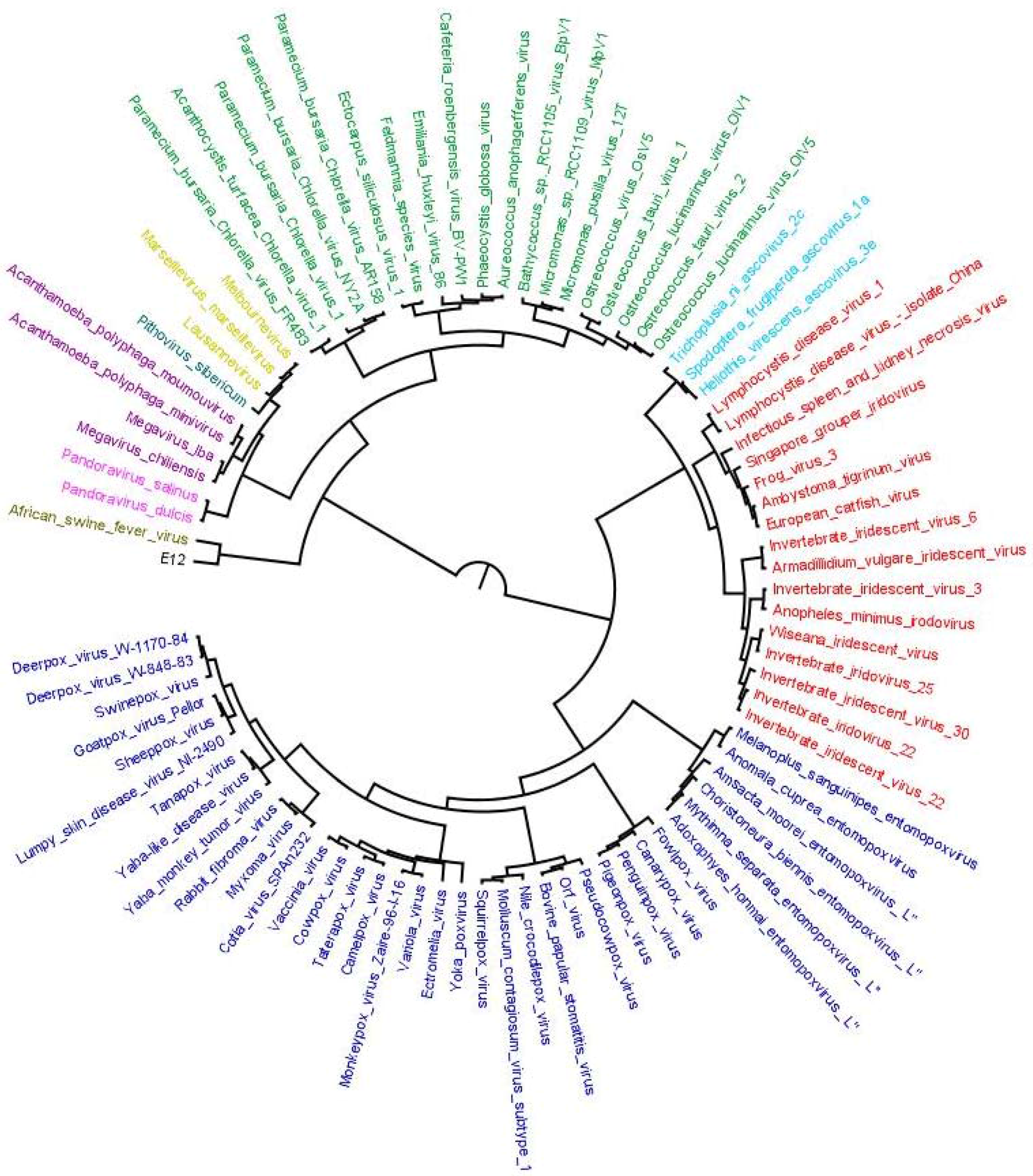 Viruses 09 00072 g003