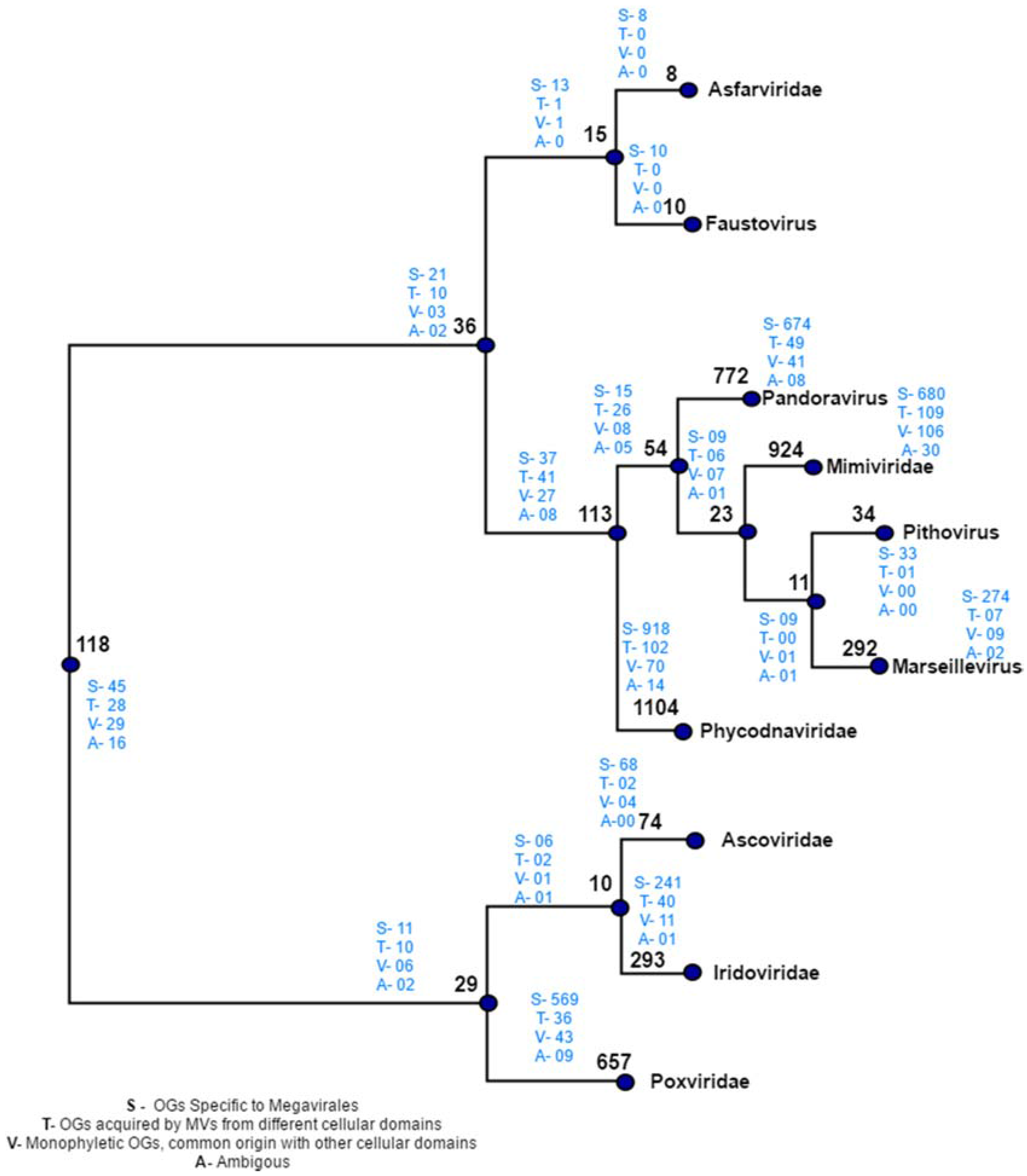 Viruses 09 00072 g005