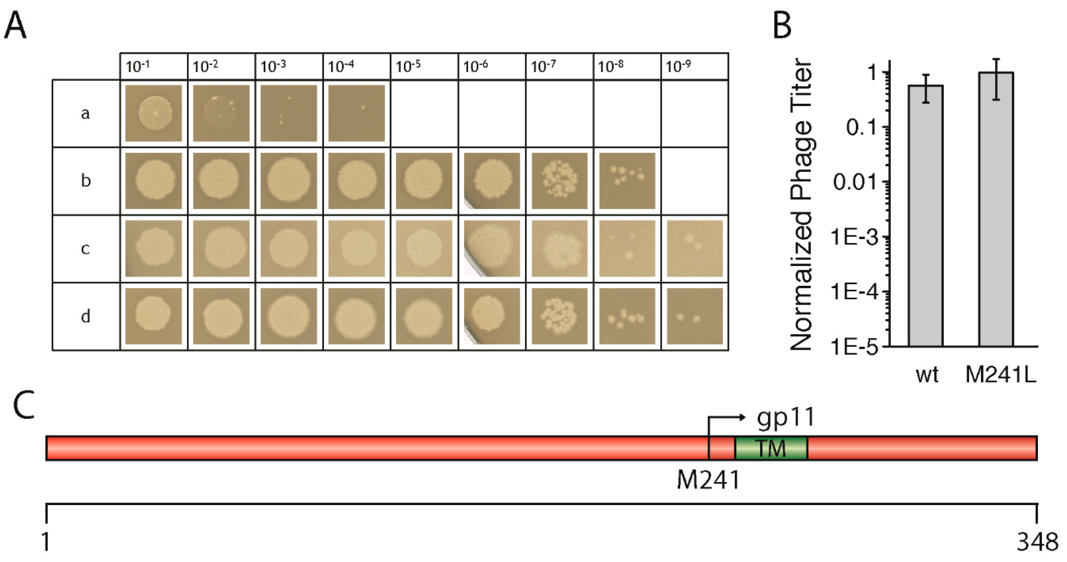 Viruses 09 00073 g001 550