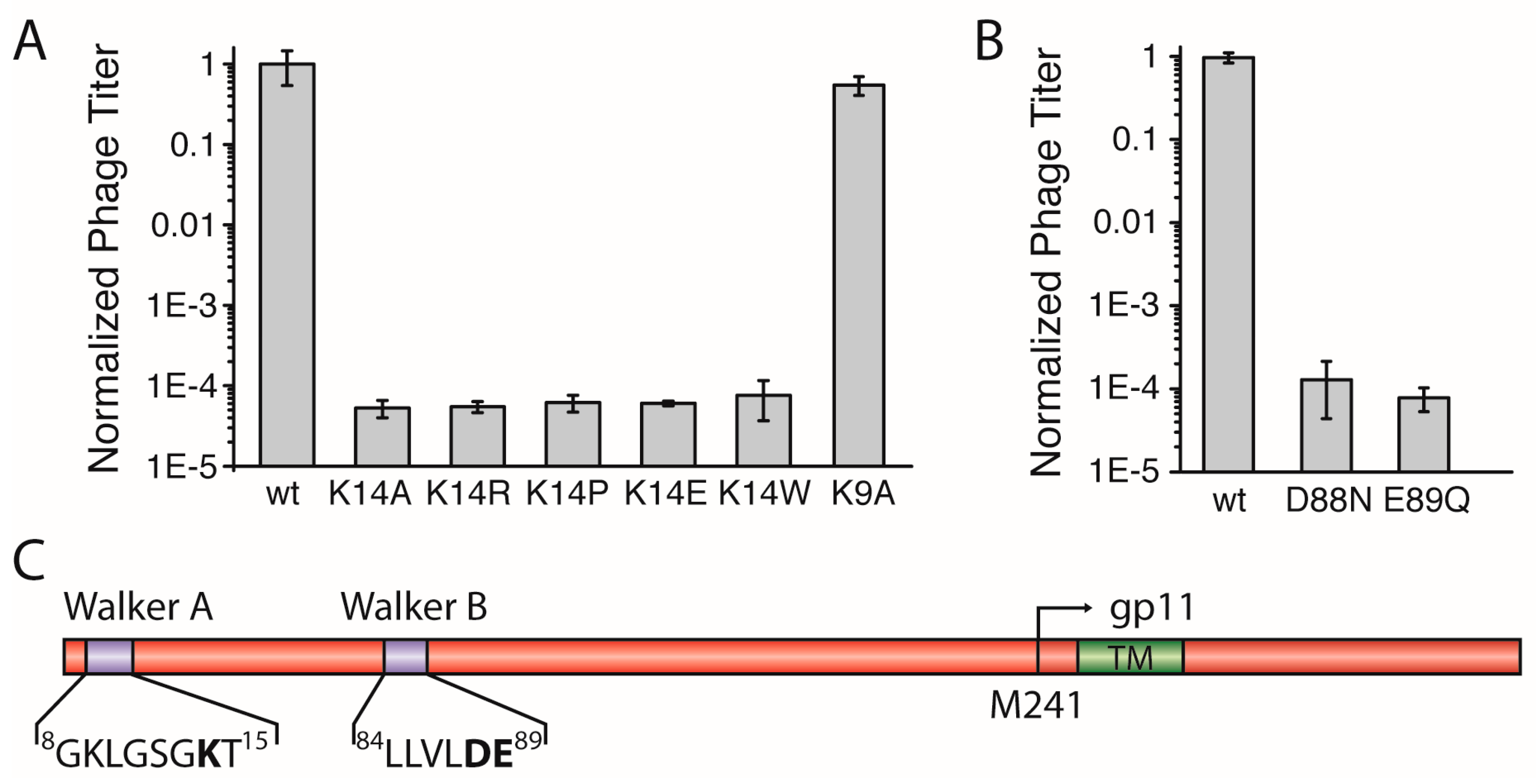 Viruses 09 00073 g002 550
