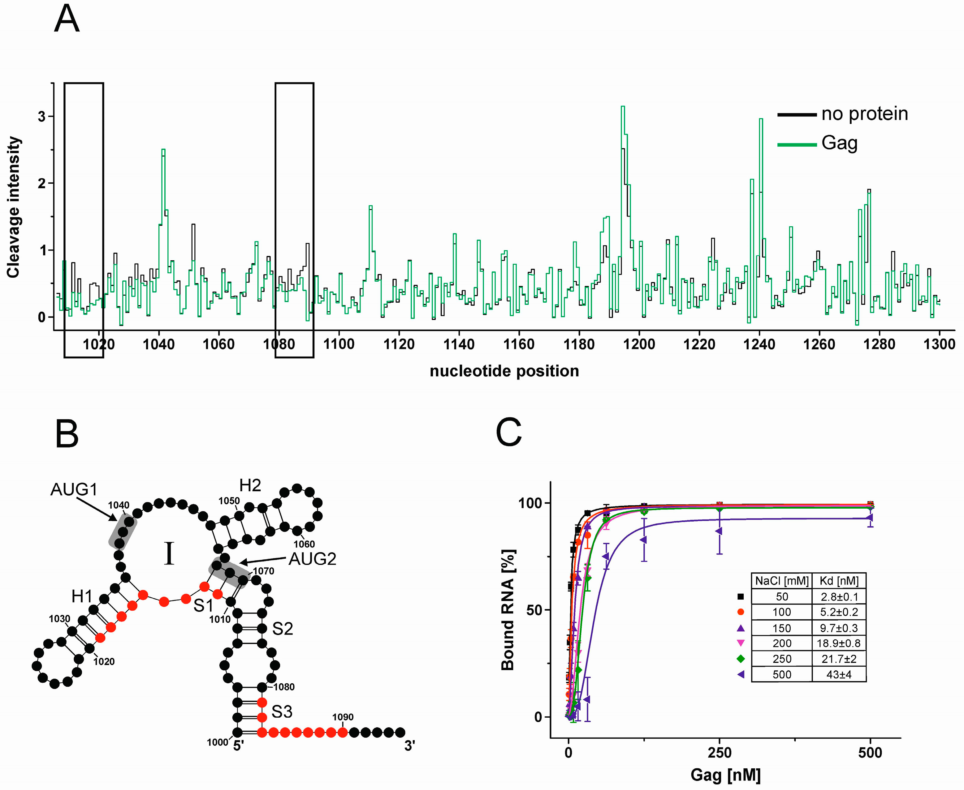 Viruses 09 00074 g008 550