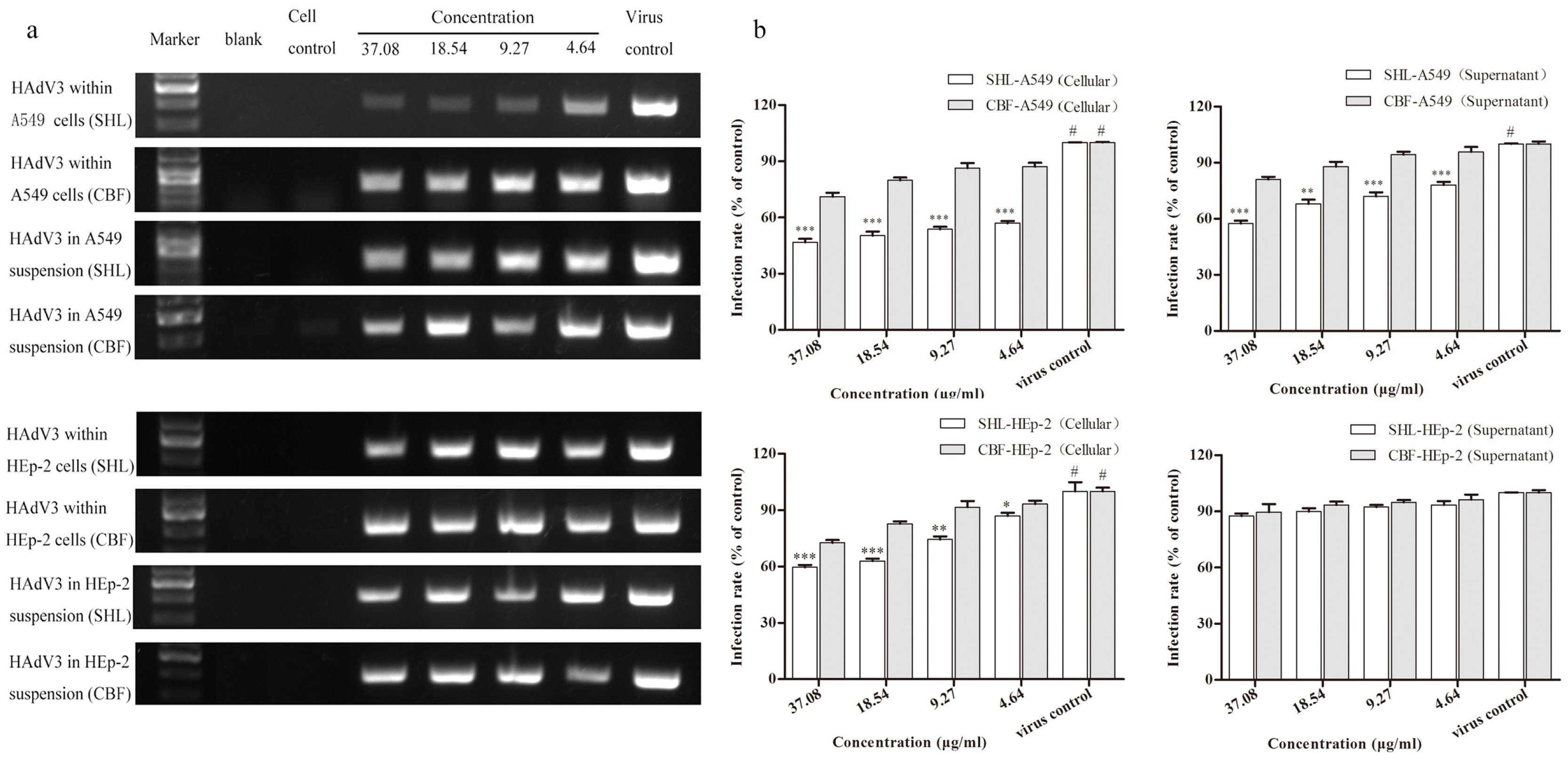Viruses 09 00079 g007 550