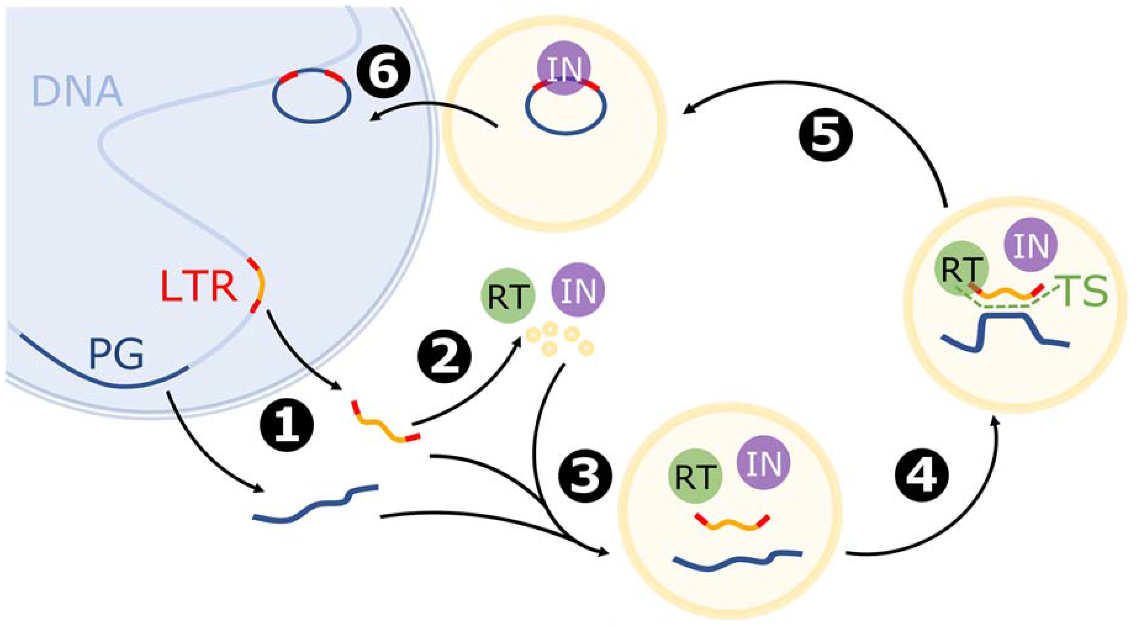 Viruses 09 00080 g003 Viruses 09 00080 g003