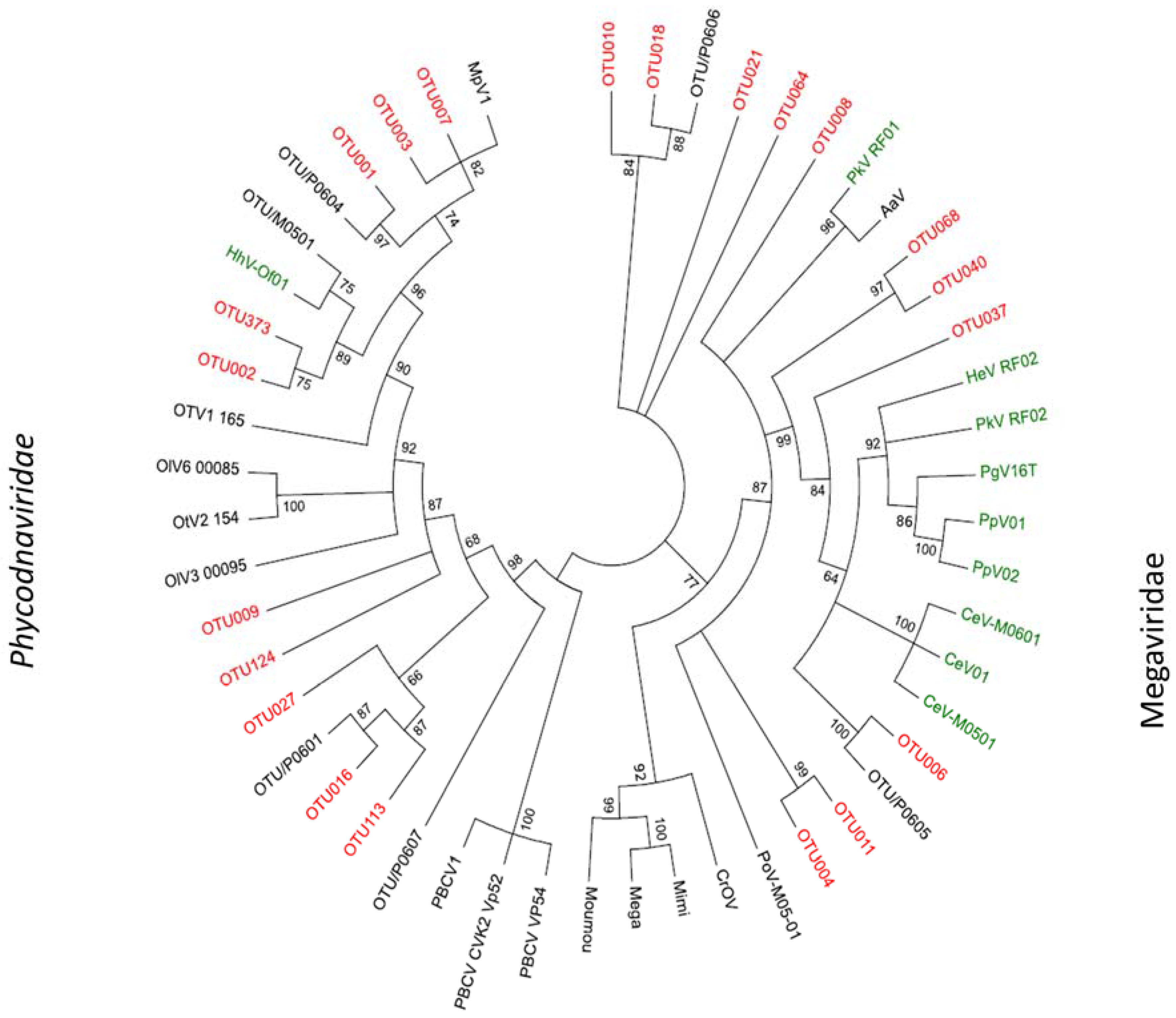 Viruses 09 00084 g007