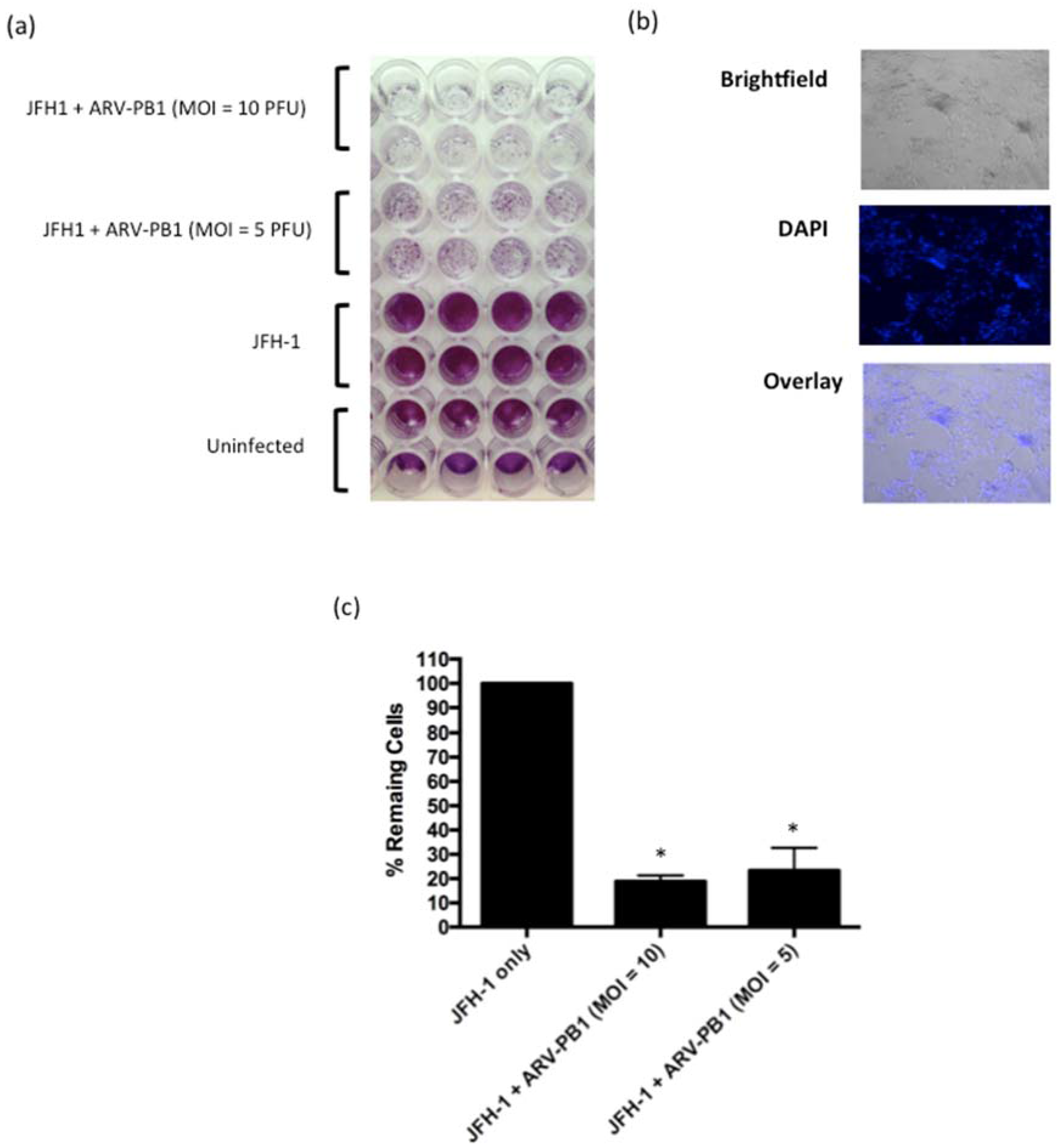 Viruses 09 00090 g007