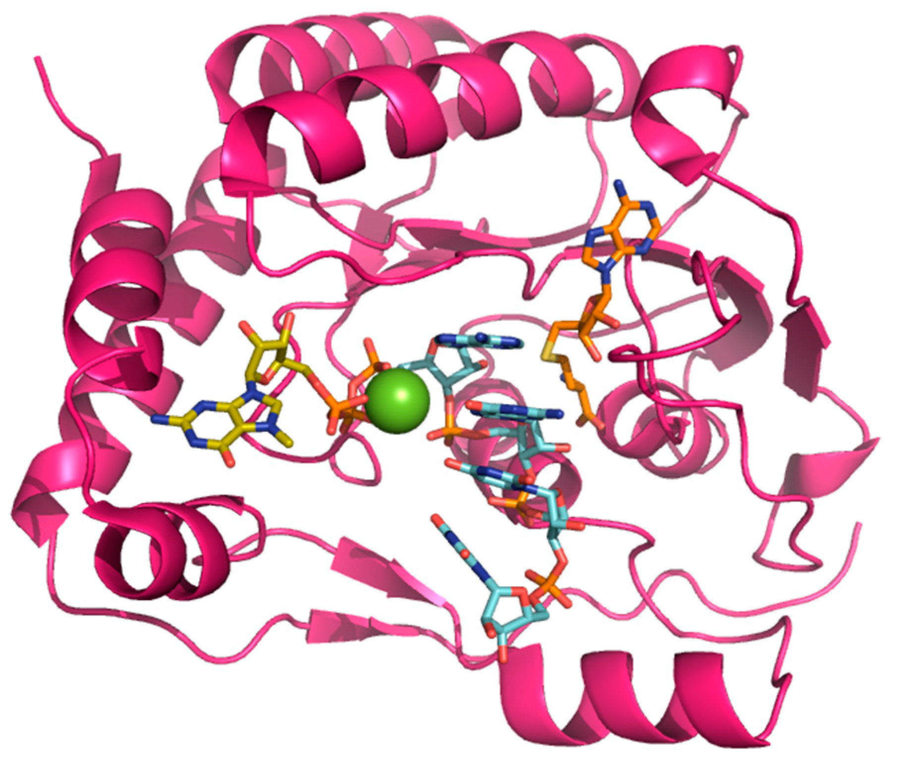 Viruses 09 00091 g002 Viruses 09 00091 g002