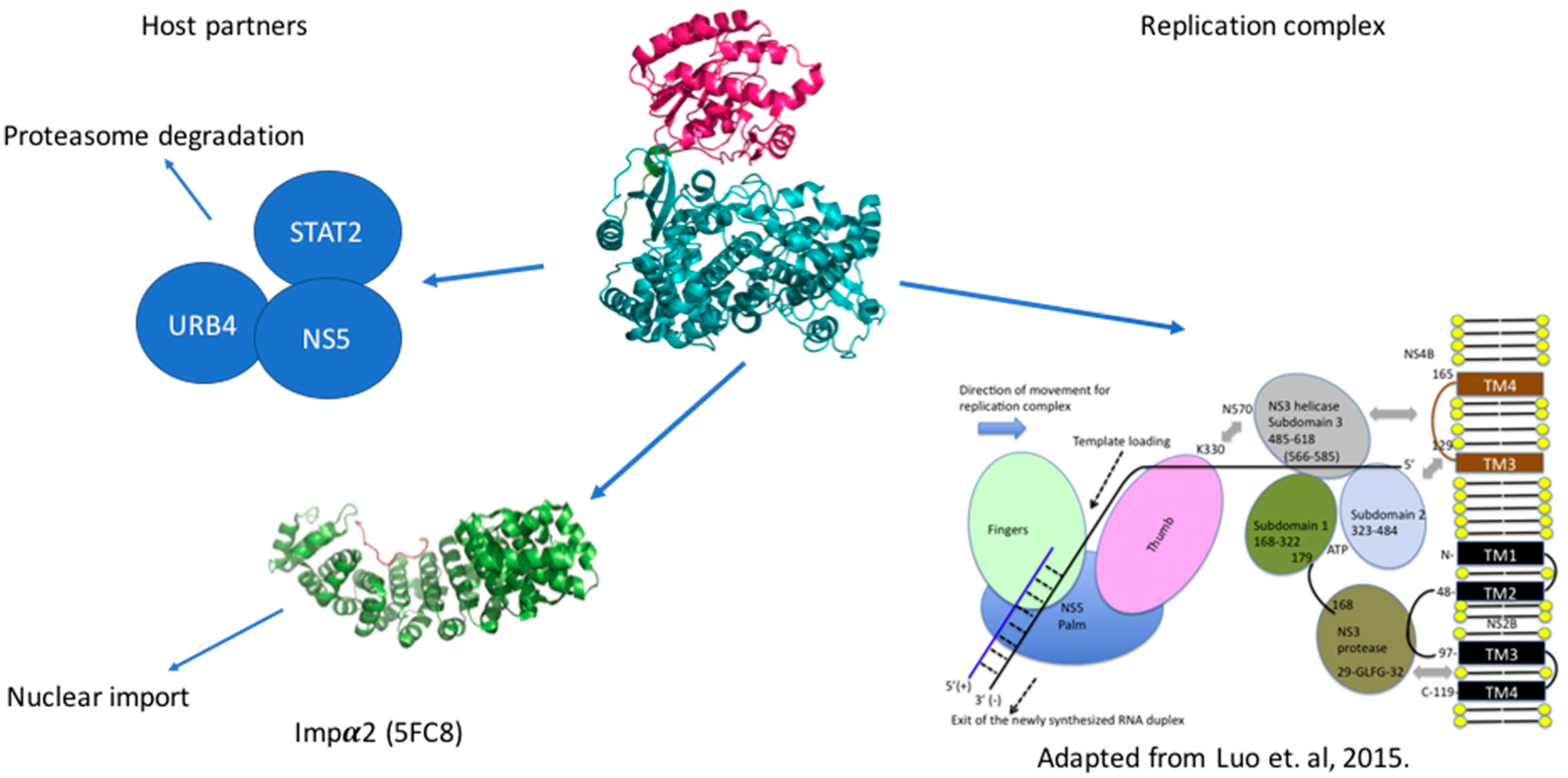 Viruses 09 00091 g004 Viruses 09 00091 g004
